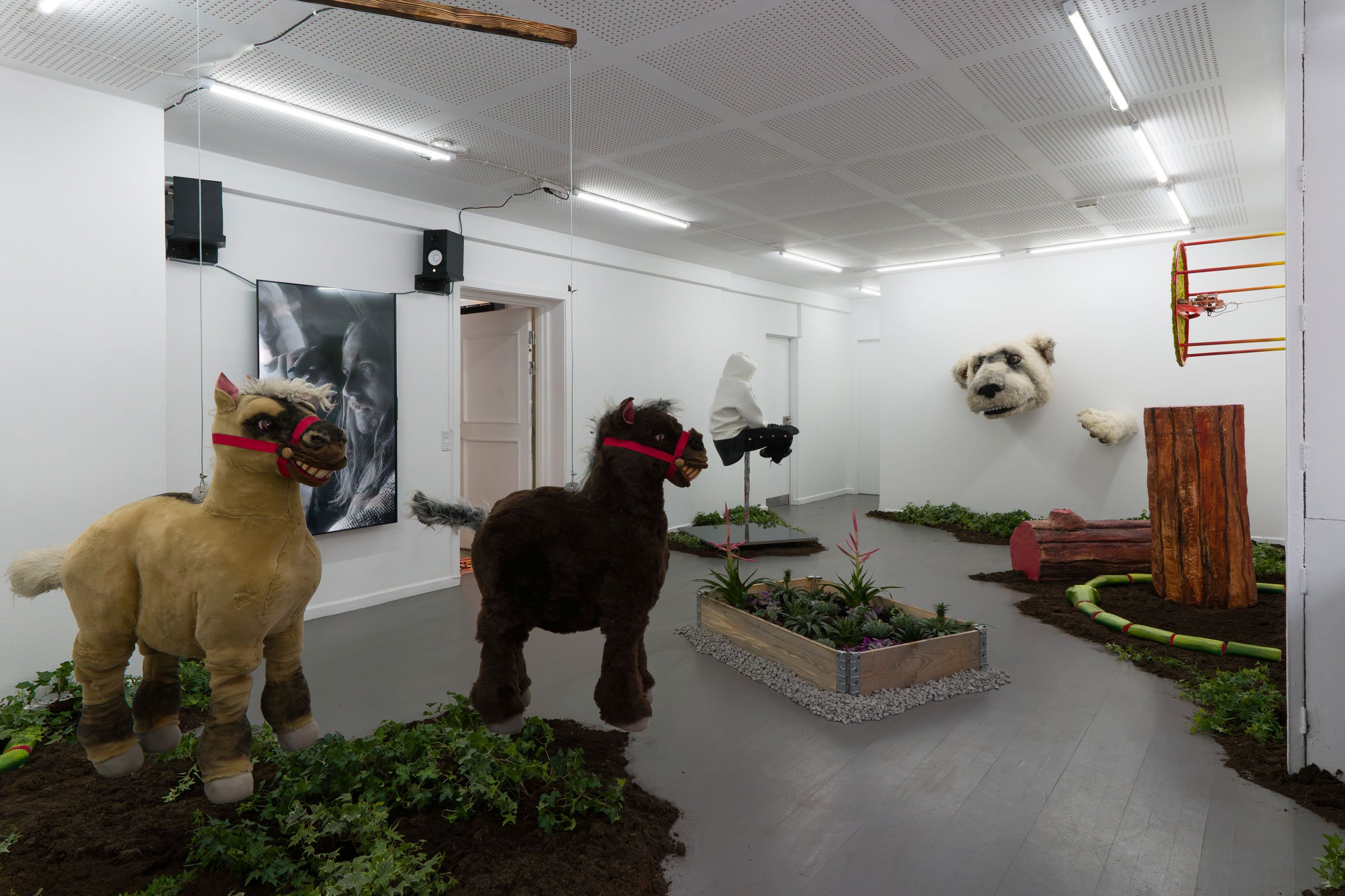 Installationsview fra <i>Rovdyrenes tid</i>. Foto: Pernille Emilia Kjær.