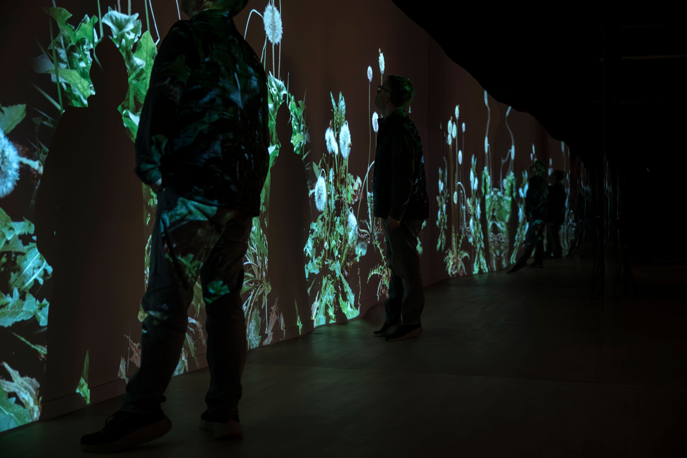 Eva Koch: <i>Dandelion</i>, 2026. Foto: Torben E. Meyer.