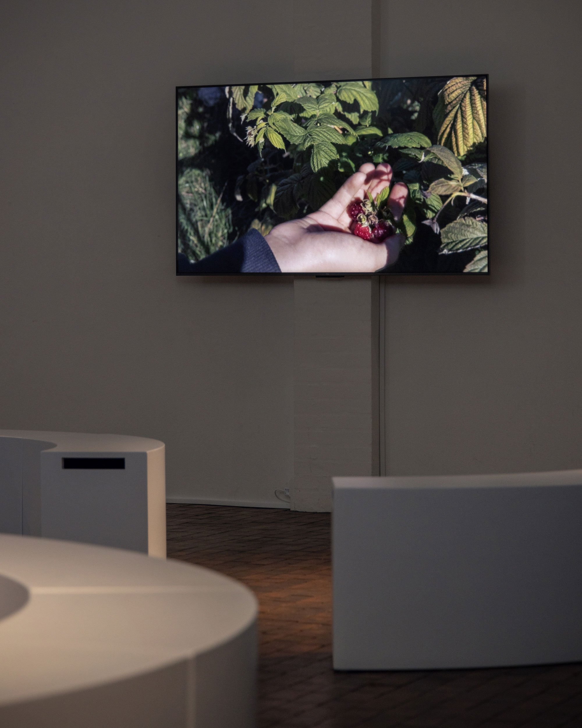 Ana Pavlović og Vladimir Tomić: <i>FOR:EN:ING</i>, 2026, installationsview. Foto: Frida Gregersen.