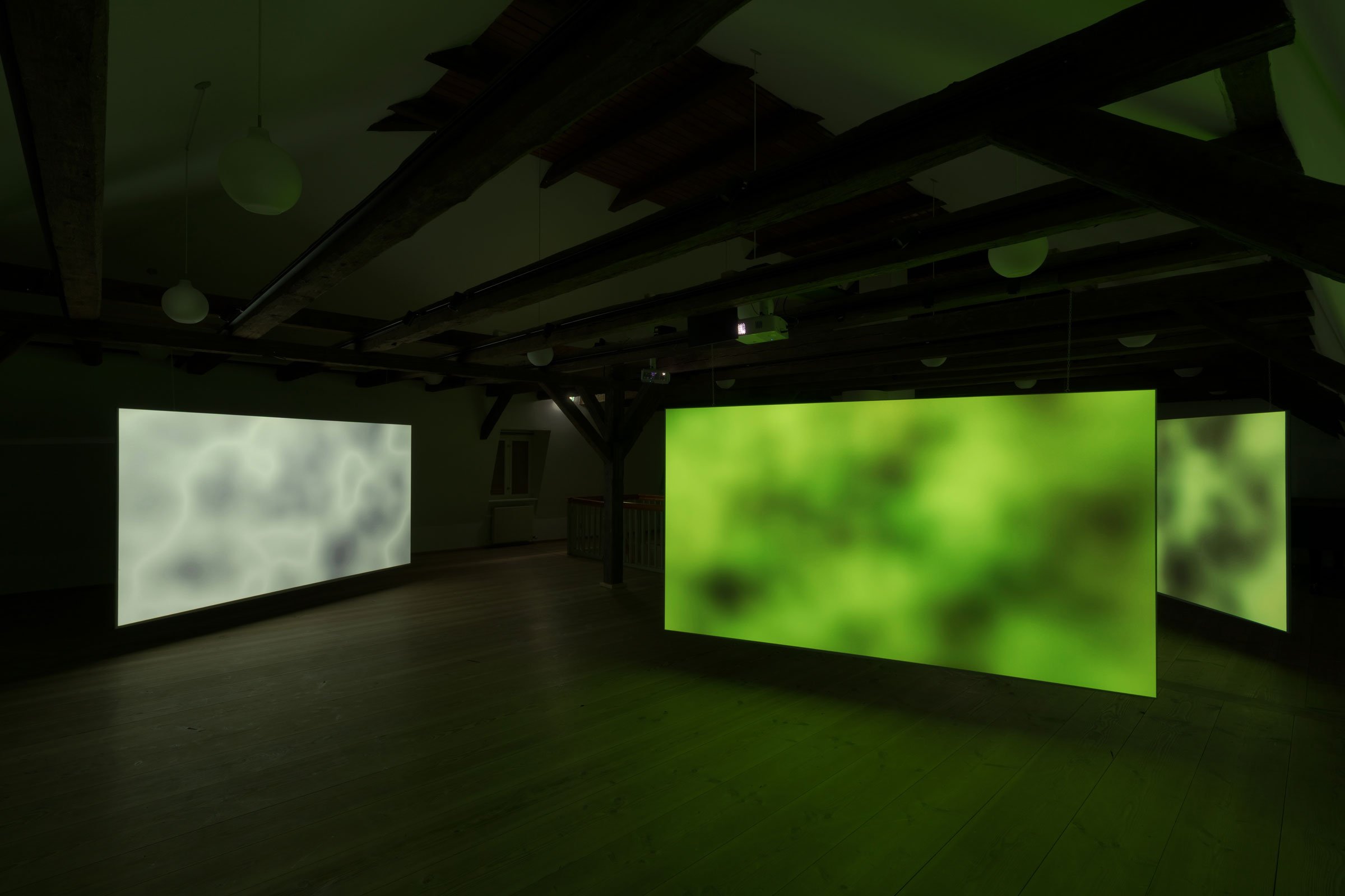 Asmund Havsteen-Mikkelsen: <i>Dehabitation</i>, videoinstallation, 2026. Foto: David Stjernholm.