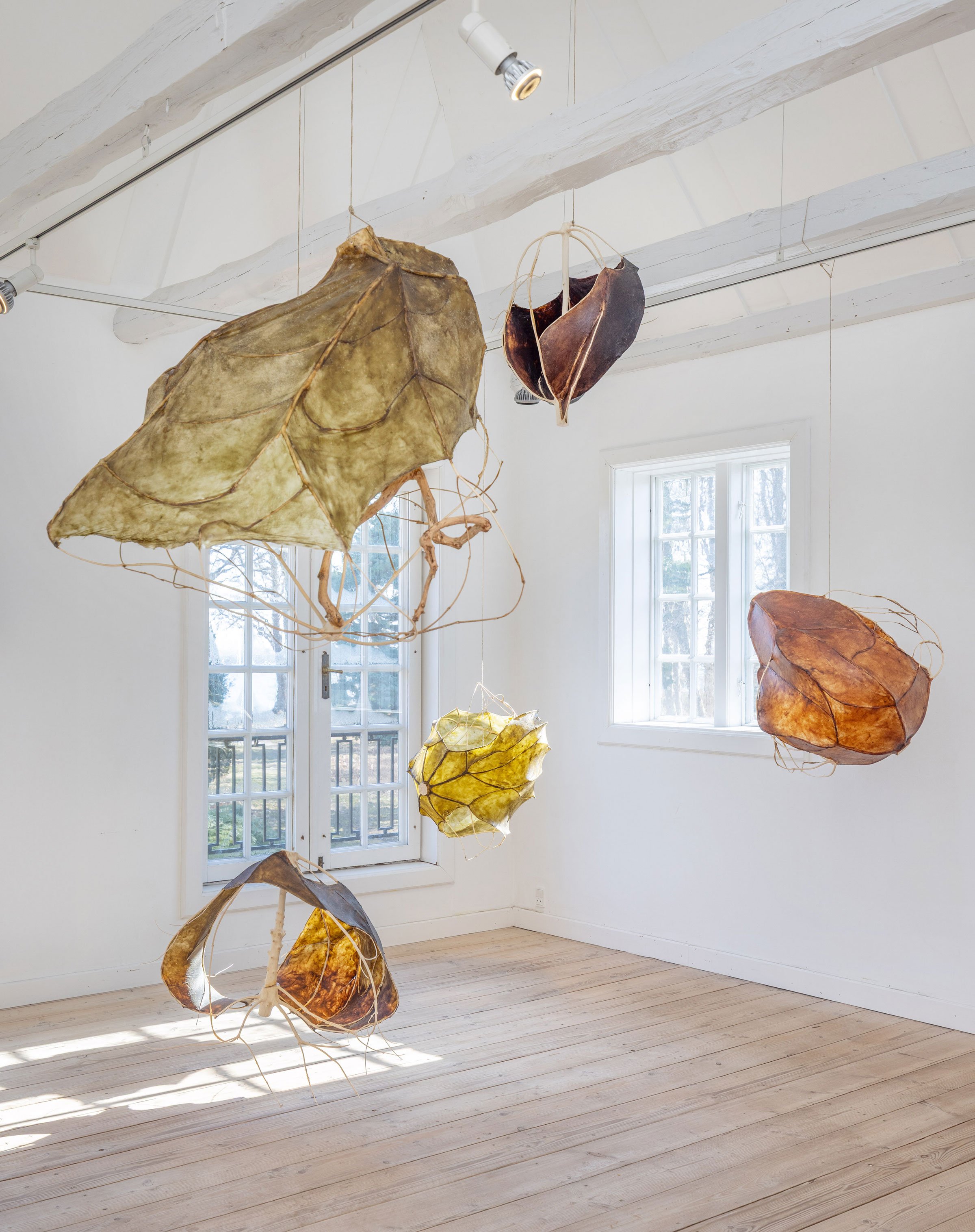 Alberte Holmø Bojesen og Julia Lohmann: <i>Kelp Casings</i>, 2026. Foto: Munkeruphus.