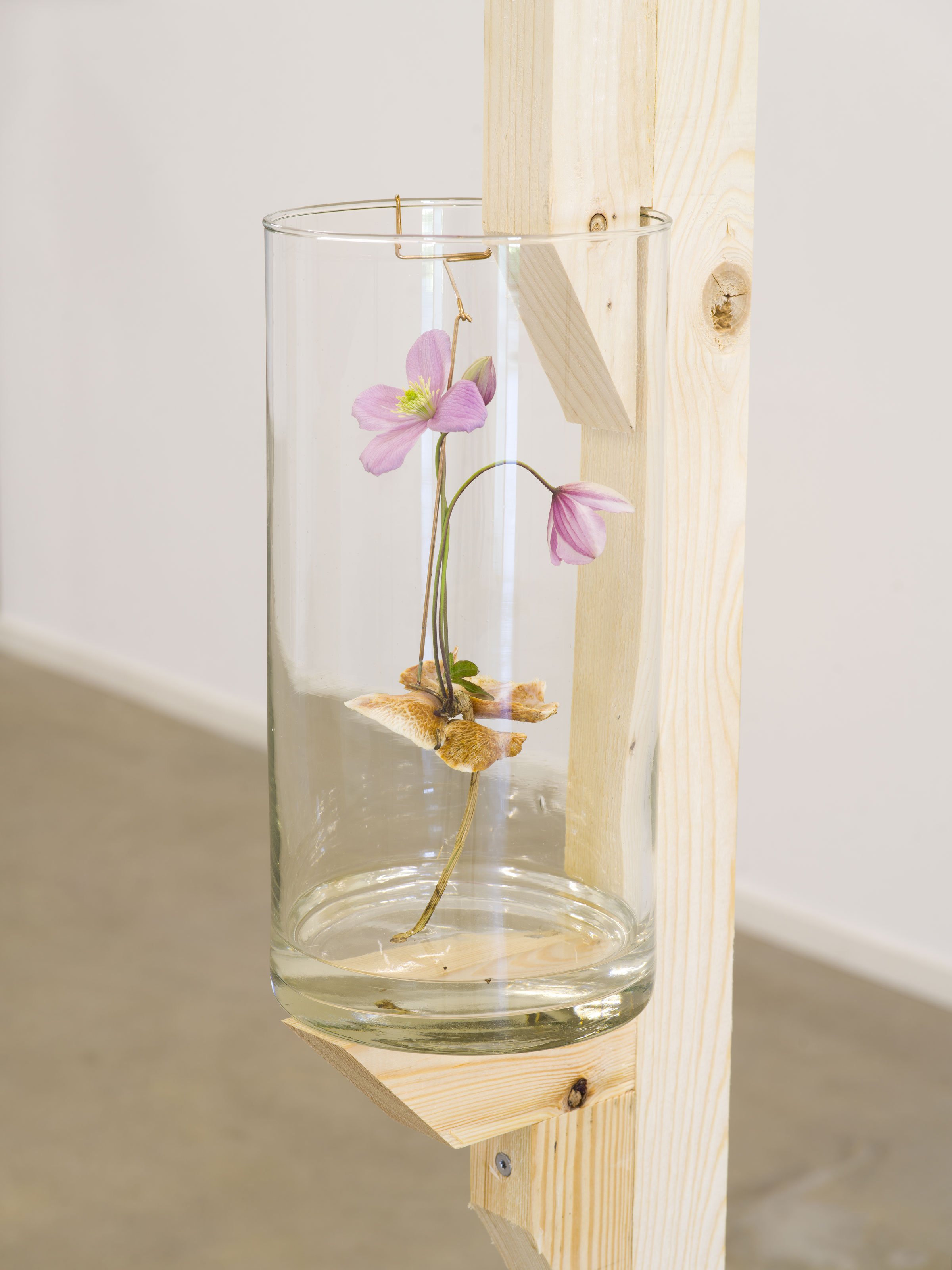 View fra udstillingen <i>All that prevents you from leaving, all that is your enemy</i> af Danh Vo. Foto: Nick Ash.