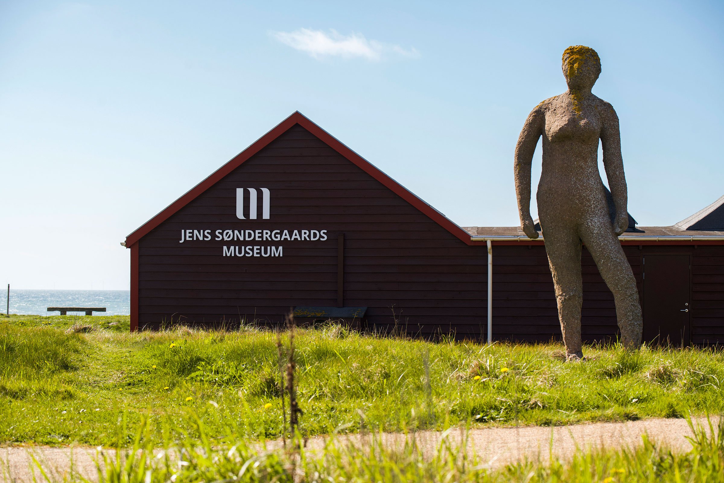 Fra Jens Søndergaards Museums faste udstilling <i>At se naturen igen</i>. Foto: Jens Søndergaards Museum.