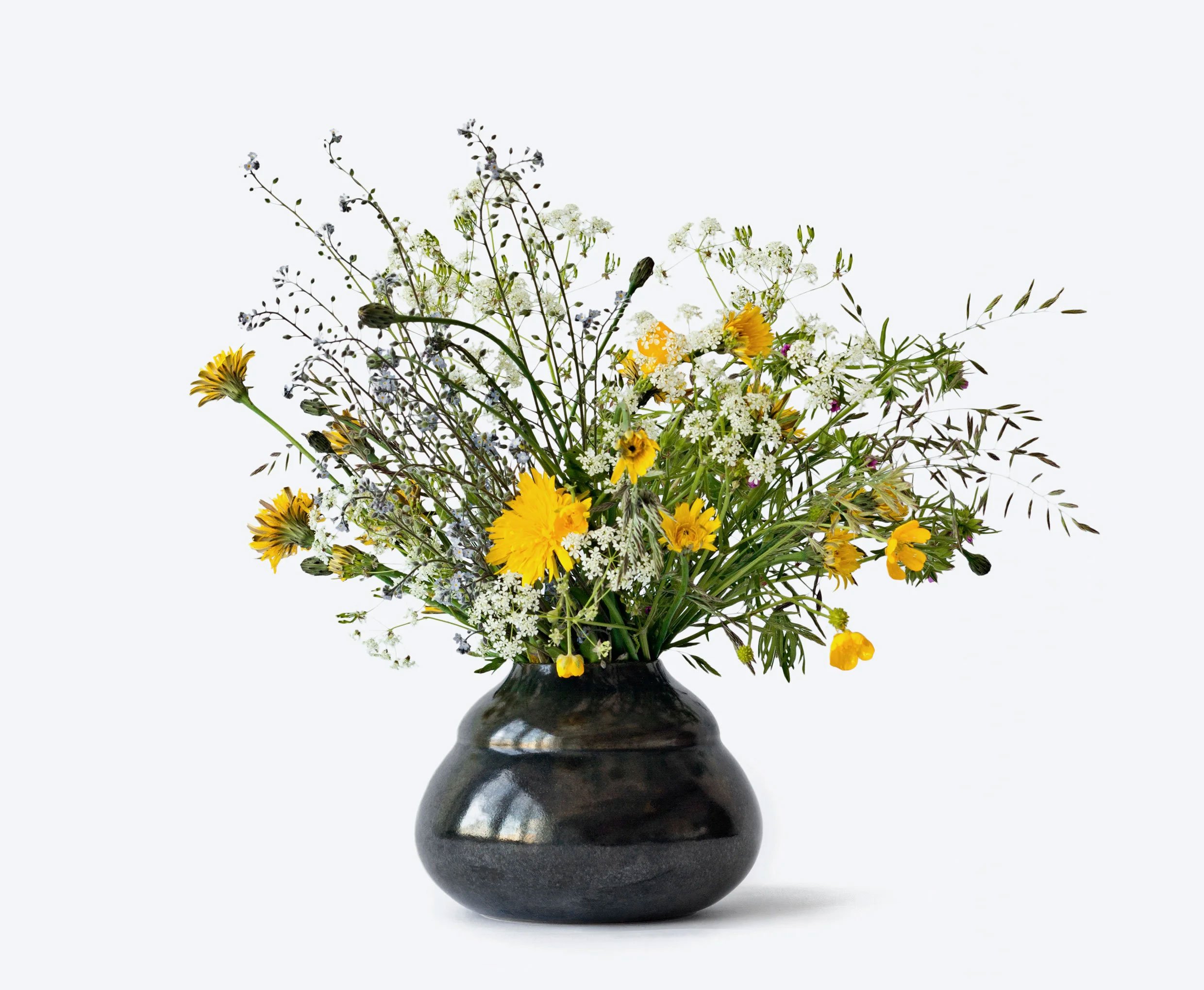 Camilla Berner: <i>Plant Collection no. 1</i>, Krinsen, Kongens Nytorv, 2014. Kredit: Camilla Berner