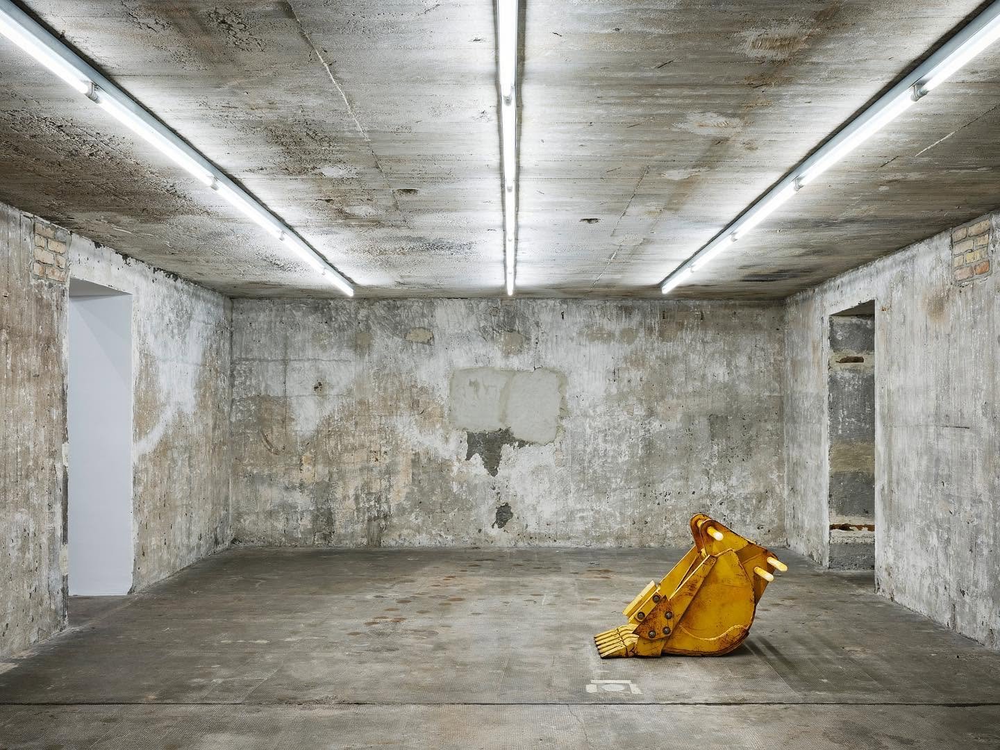 Cyprien Gaillard: <i>Lesser Koa Moorhen</i> (2013), Boros Collection. Foto Andreas Gehrke