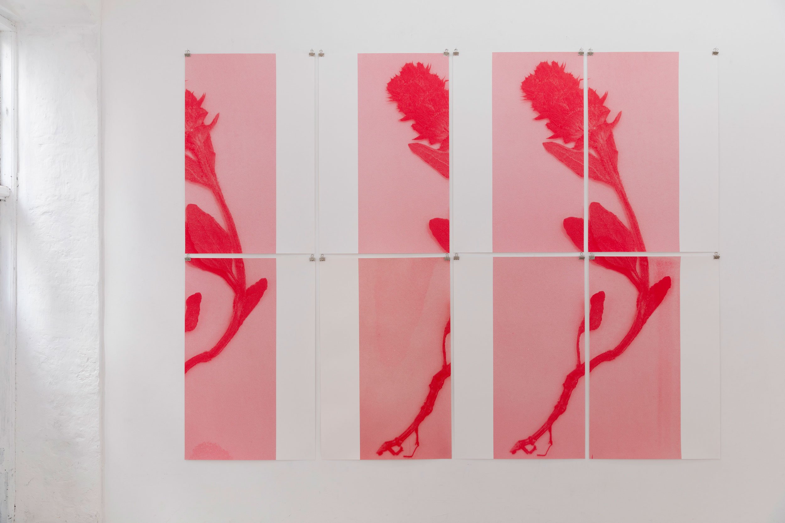 Femja Haack, Orchis, 2025. Foto: Katinka Klinge.