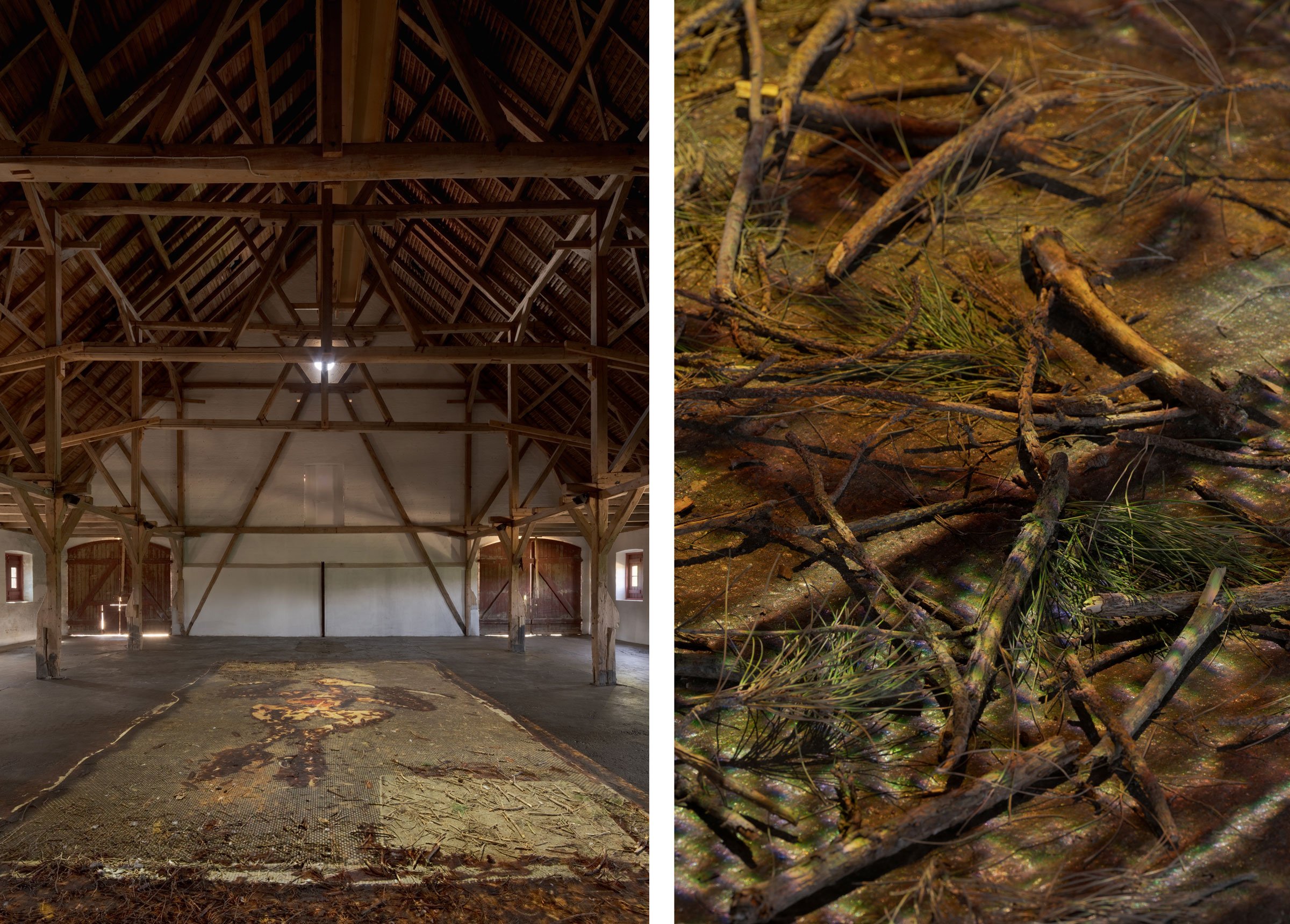Bronwyn Lace: <i>Feast or Famine</i>, 2026. Foto: David Stjernholm