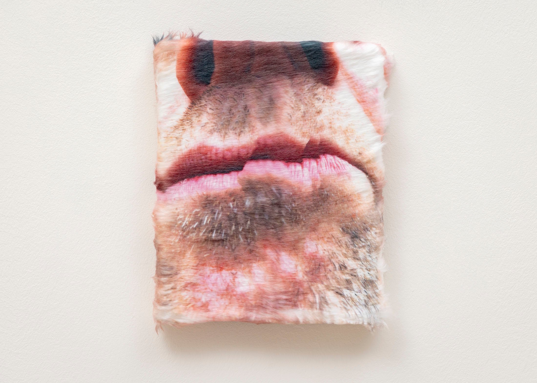 Keith Farquhar, <i>Untitled (stubble),</i> ORTHUNGA, 2026. Foto: Malle Madsen.