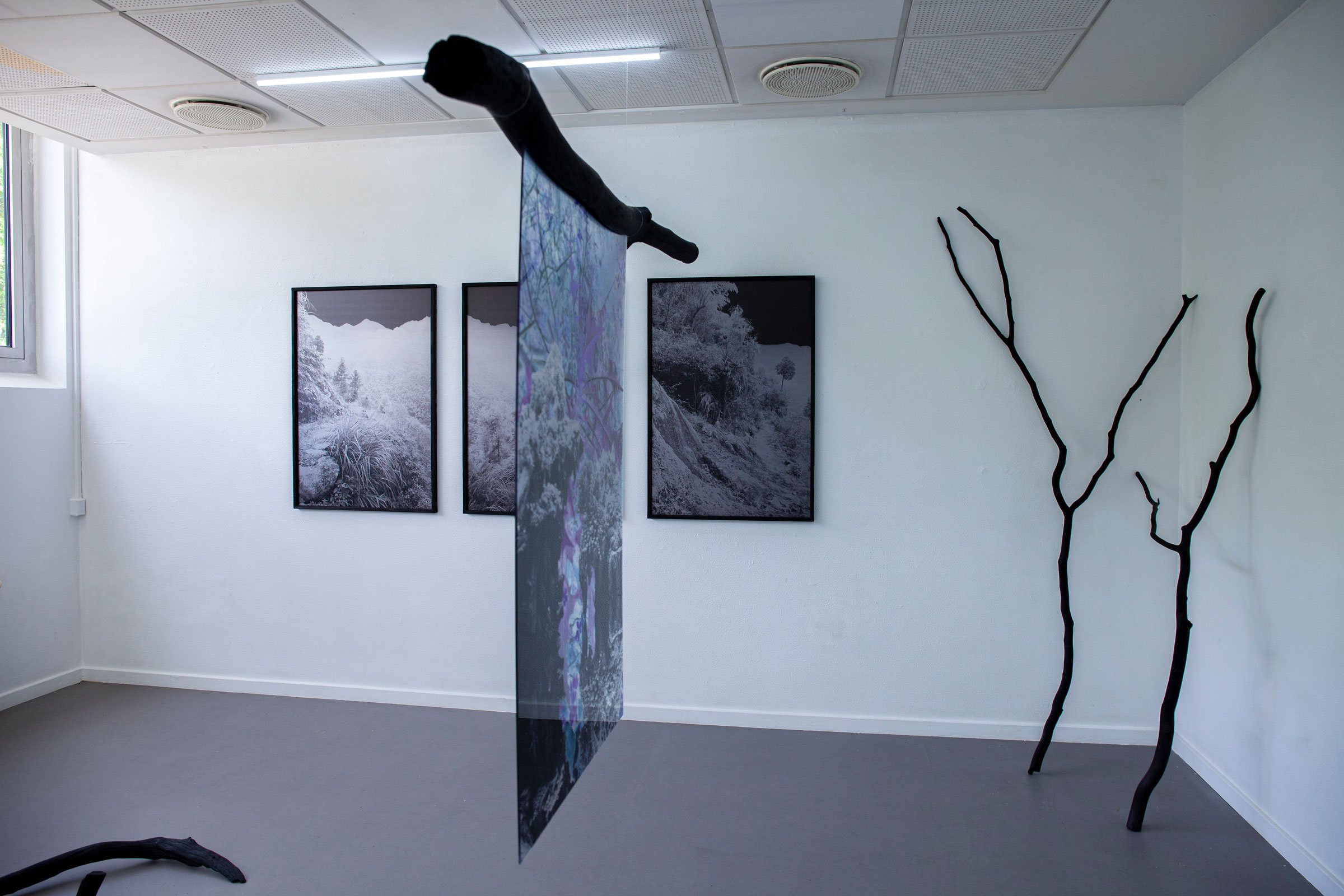 Malene Nors Tardrup, New Landscapes.Installationsview, 2026. Foto: Malene Nors Tardrup.