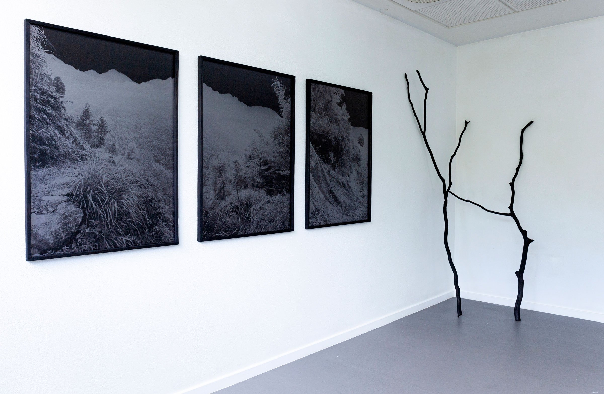 Malene Nors Tardrup, New Landscapes.Installationsview, 2026. Foto: Malene Nors Tardrup.
