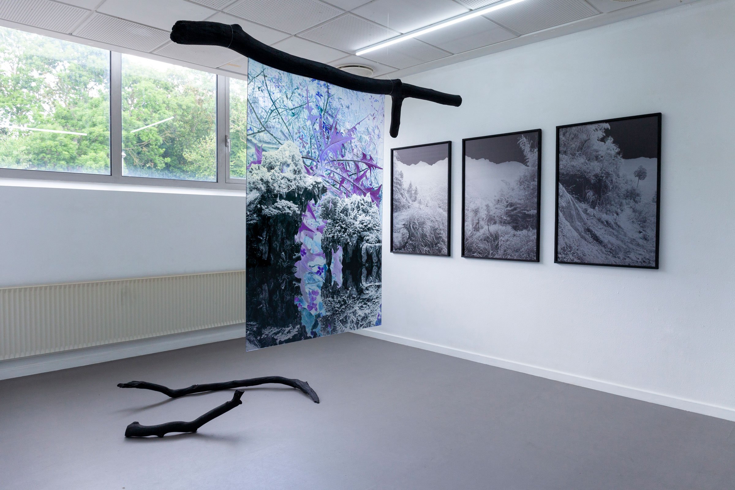 Malene Nors Tardrup, New Landscapes.Installationsview, 2026. Foto: Malene Nors Tardrup.