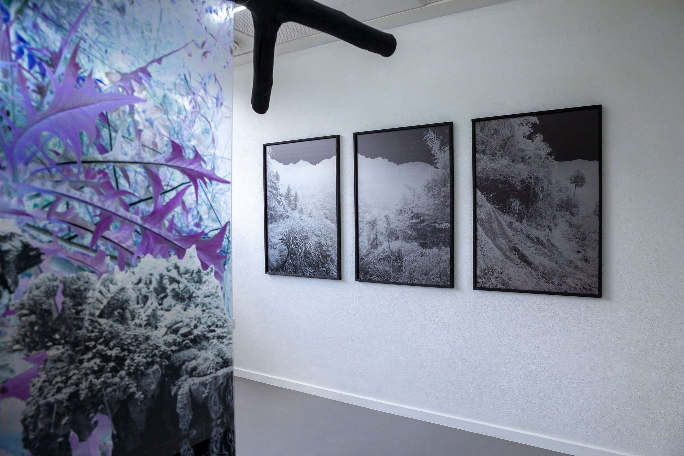 Malene Nors Tardrup, New Landscapes.Installationsview, 2026. Foto: Malene Nors Tardrup.