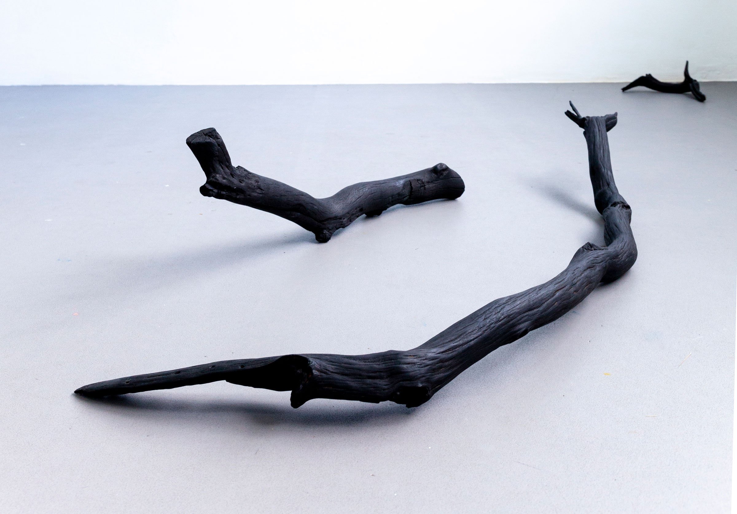 Malene Nors Tardrup, New Landscapes.Installationsview, 2026. Foto: Malene Nors Tardrup.