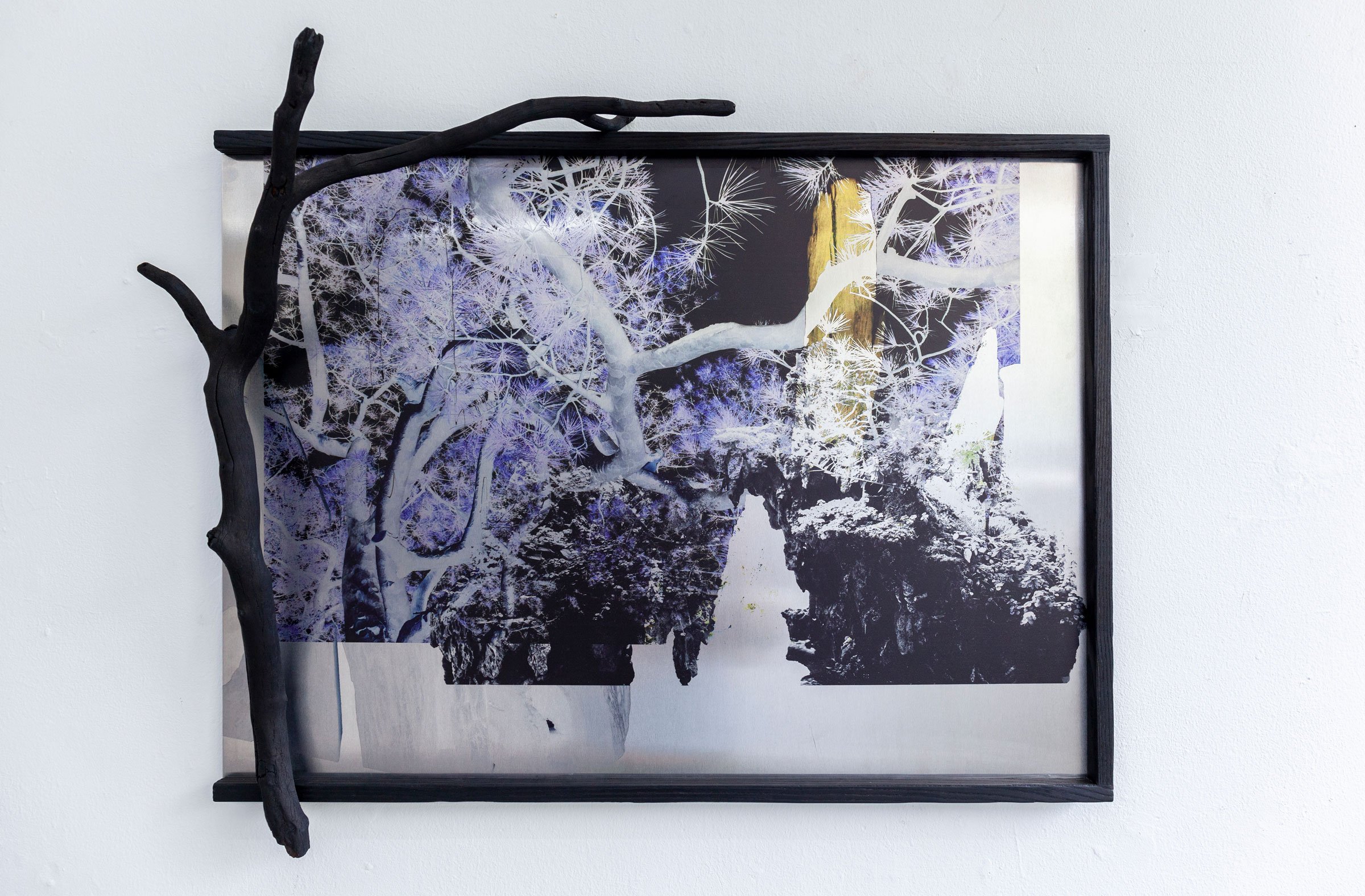 Malene Nors Tardrup, <i>New Landscapes.</i>Installationsview, 2026. Foto: Malene Nors Tardrup.