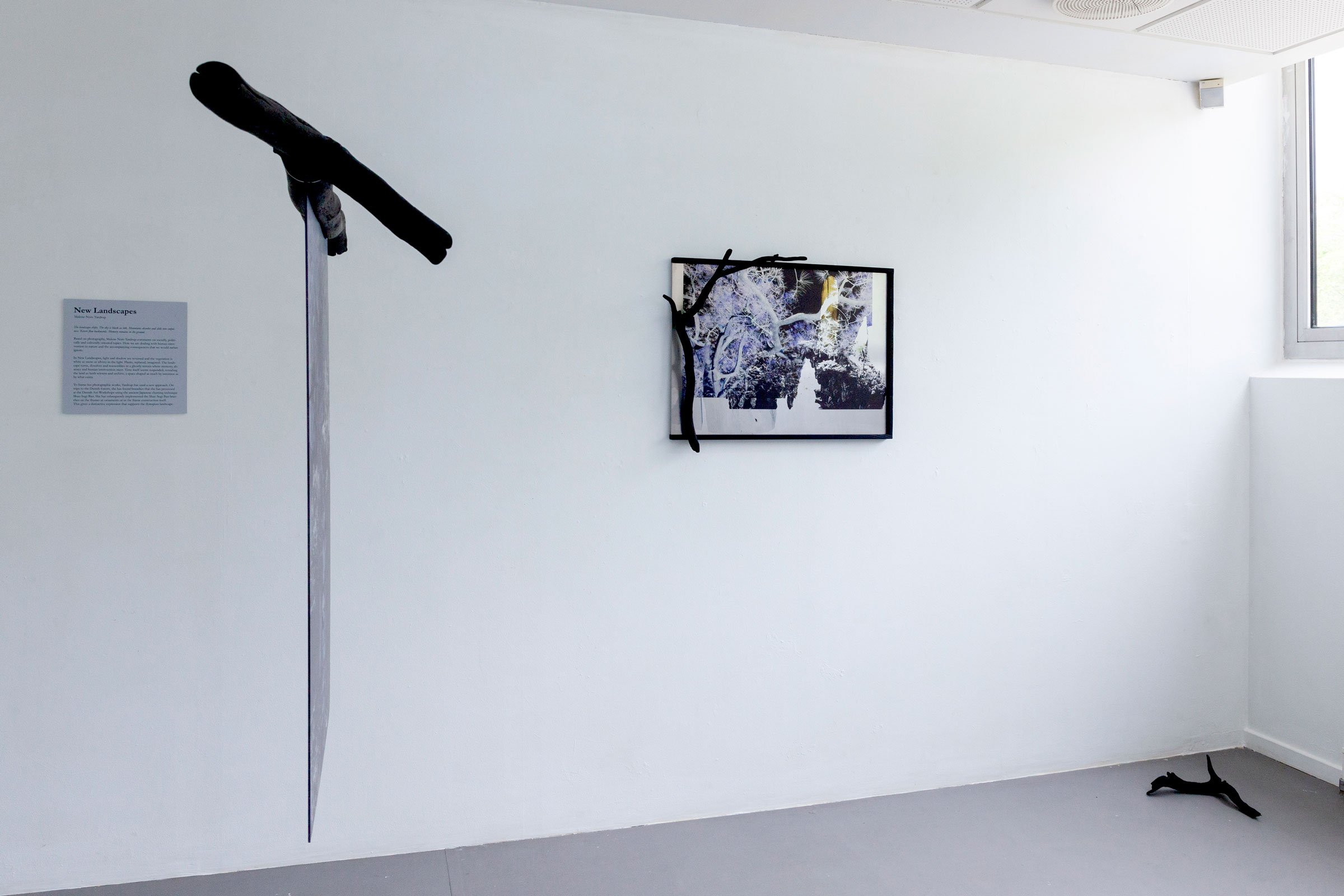 Malene Nors Tardrup, New Landscapes.Installationsview, 2026. Foto: Malene Nors Tardrup.