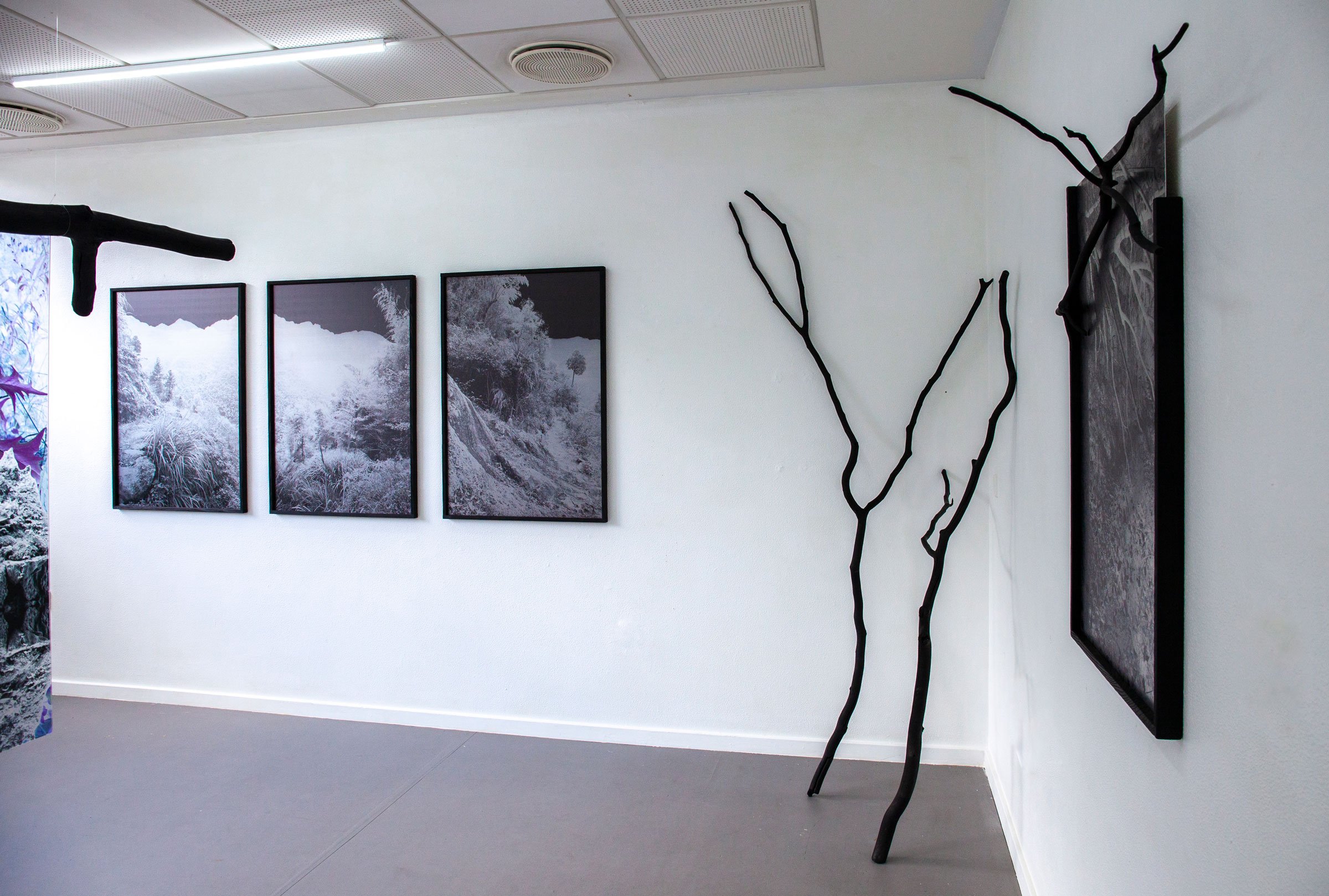 Malene Nors Tardrup, New Landscapes.Installationsview, 2026. Foto: Malene Nors Tardrup.