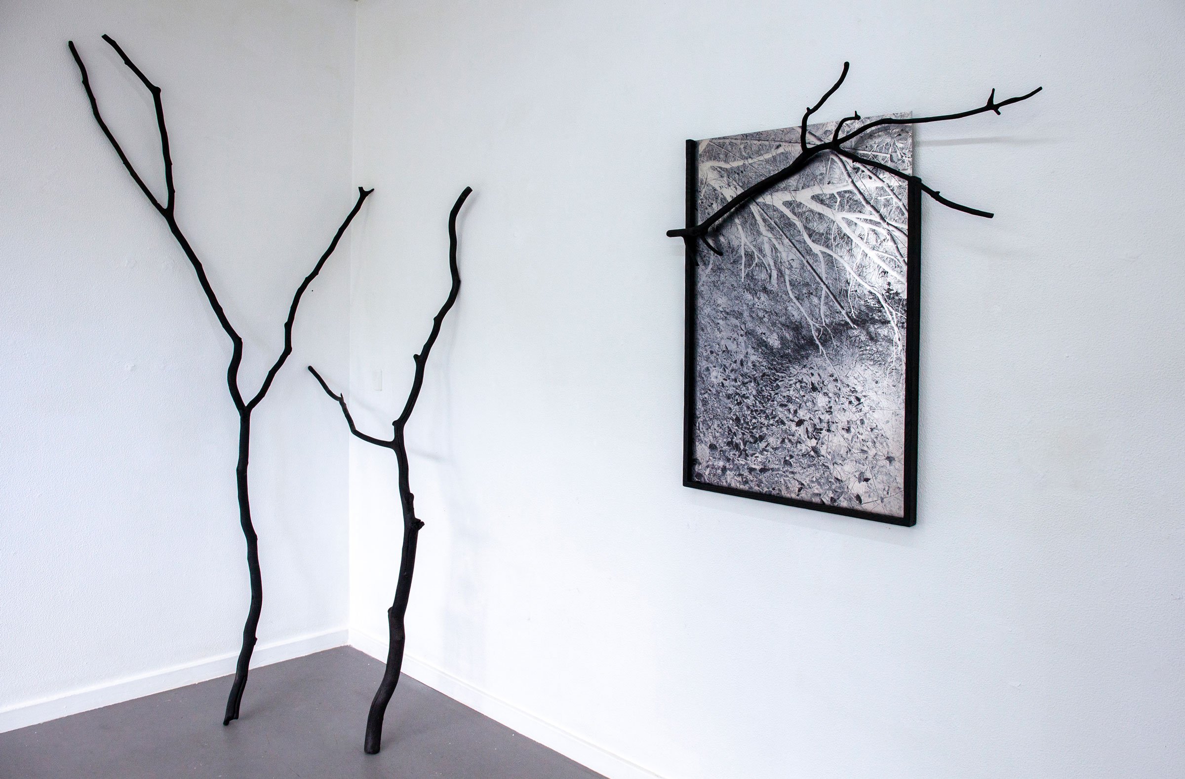 Malene Nors Tardrup, New Landscapes.Installationsview, 2026. Foto: Malene Nors Tardrup.