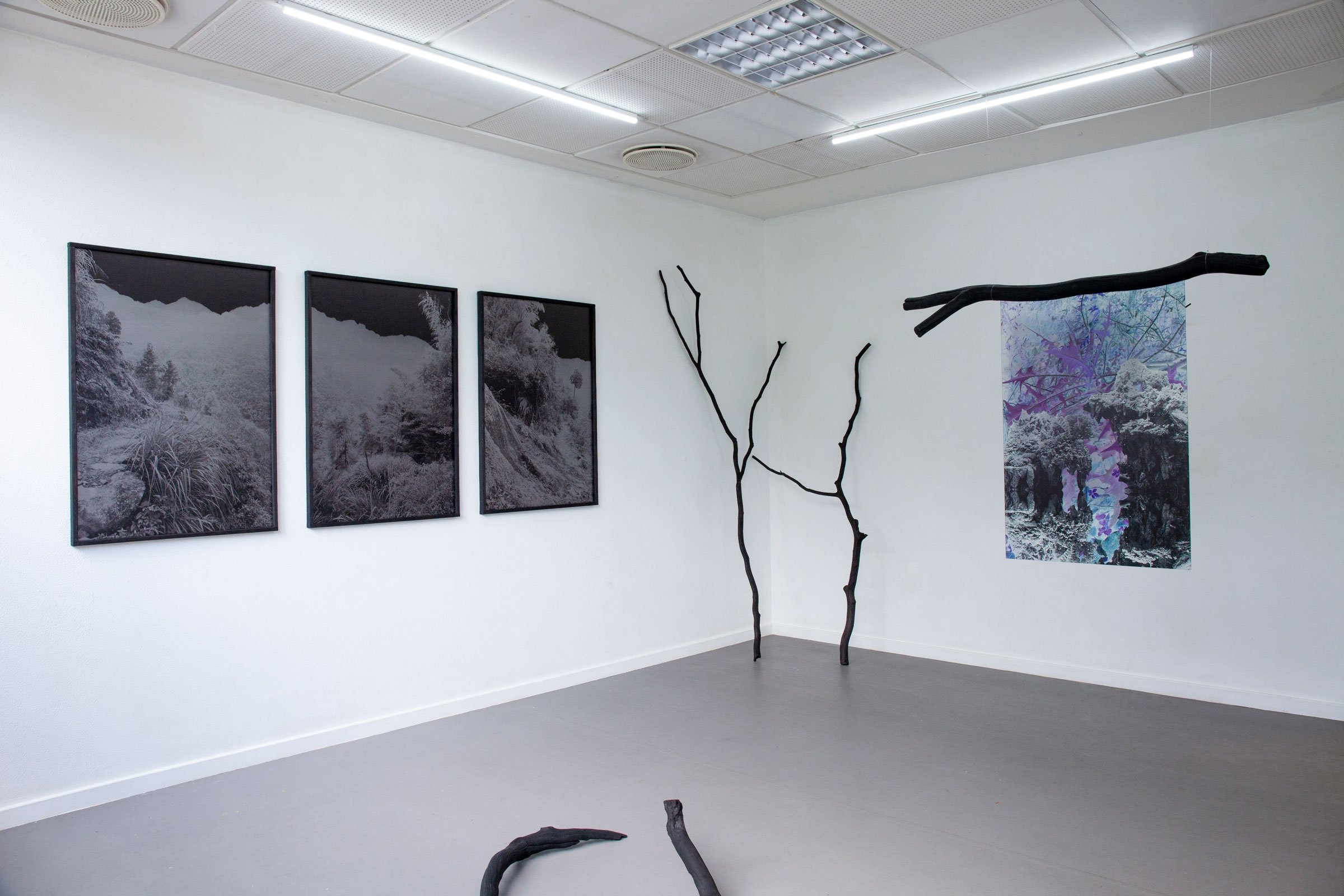 Malene Nors Tardrup, New Landscapes.Installationsview, 2026. Foto: Malene Nors Tardrup.