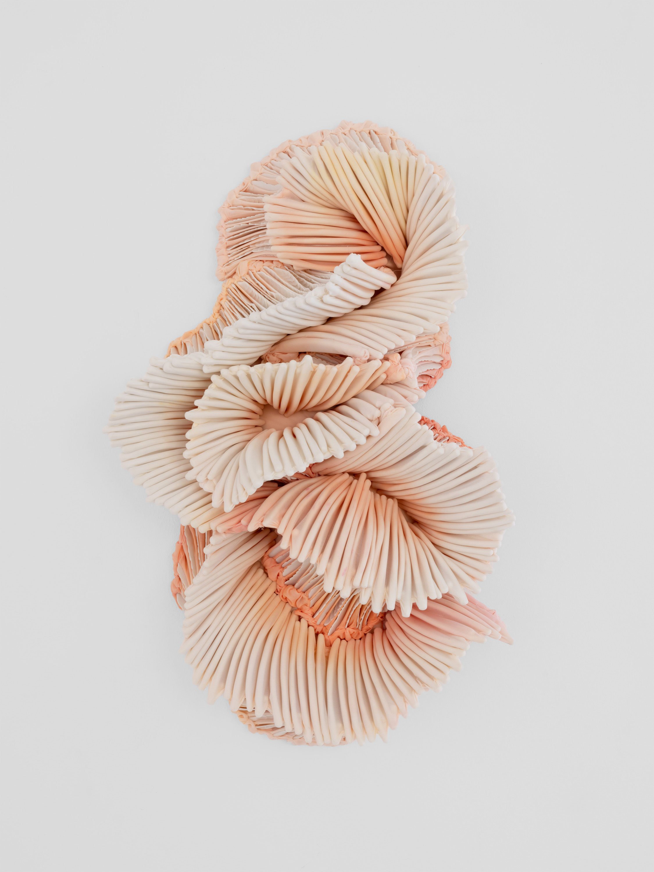 Nanna Riis Andersen og Daniela Bergschneider, <i>Skin, Shape, Shelter</i>, installationsview, Formation Gallery, 2026. Foto: Formation Gallery. 