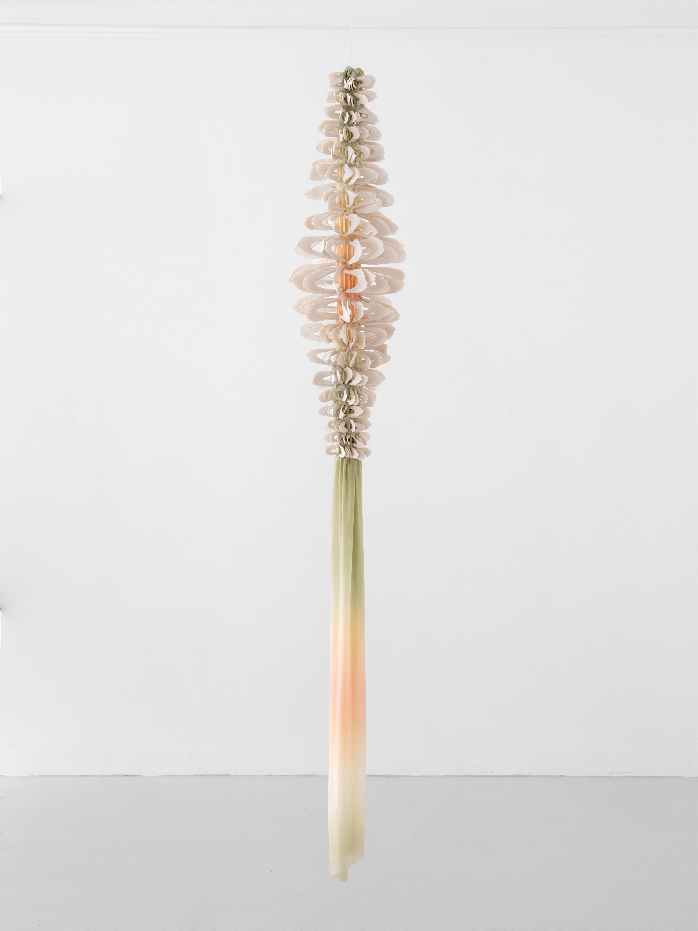 Nanna Riis Andersen og Daniela Bergschneider, Skin, Shape, Shelter, installationsview, Formation Gallery, 2026. Foto: Formation Gallery.