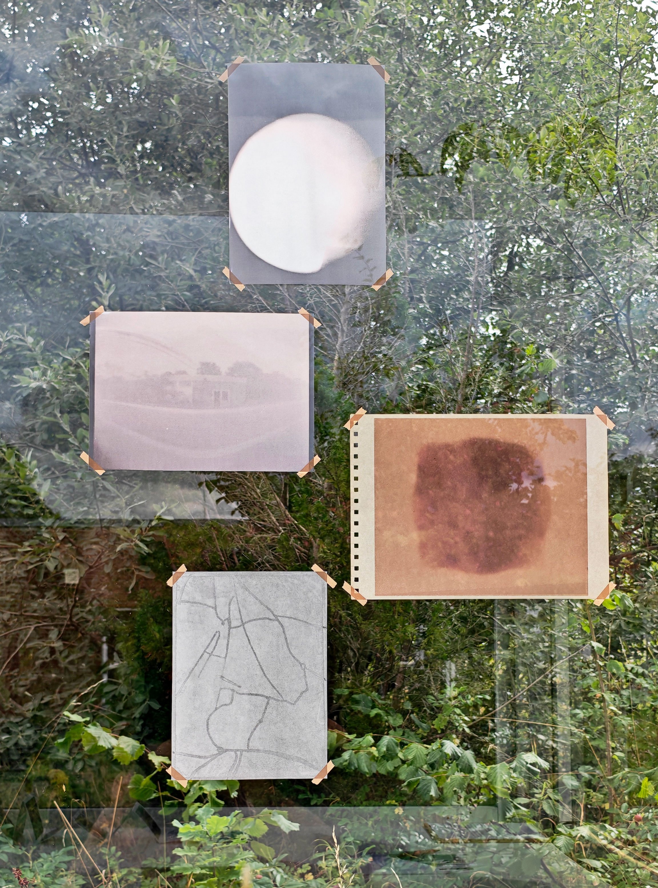 Installationsview, I skiftende lys, hOLME kUNSTHAL, 2026. Affotograferede lumenprints, solargrafier og pinholefotos printet på forskellige papirtyper, så de både indgår i, og reflekterer, hOLME kUNSTHAL og dens omgivelser. Foto: Sille Juline Høgly Petersen og Ane Bonde Rolsted.