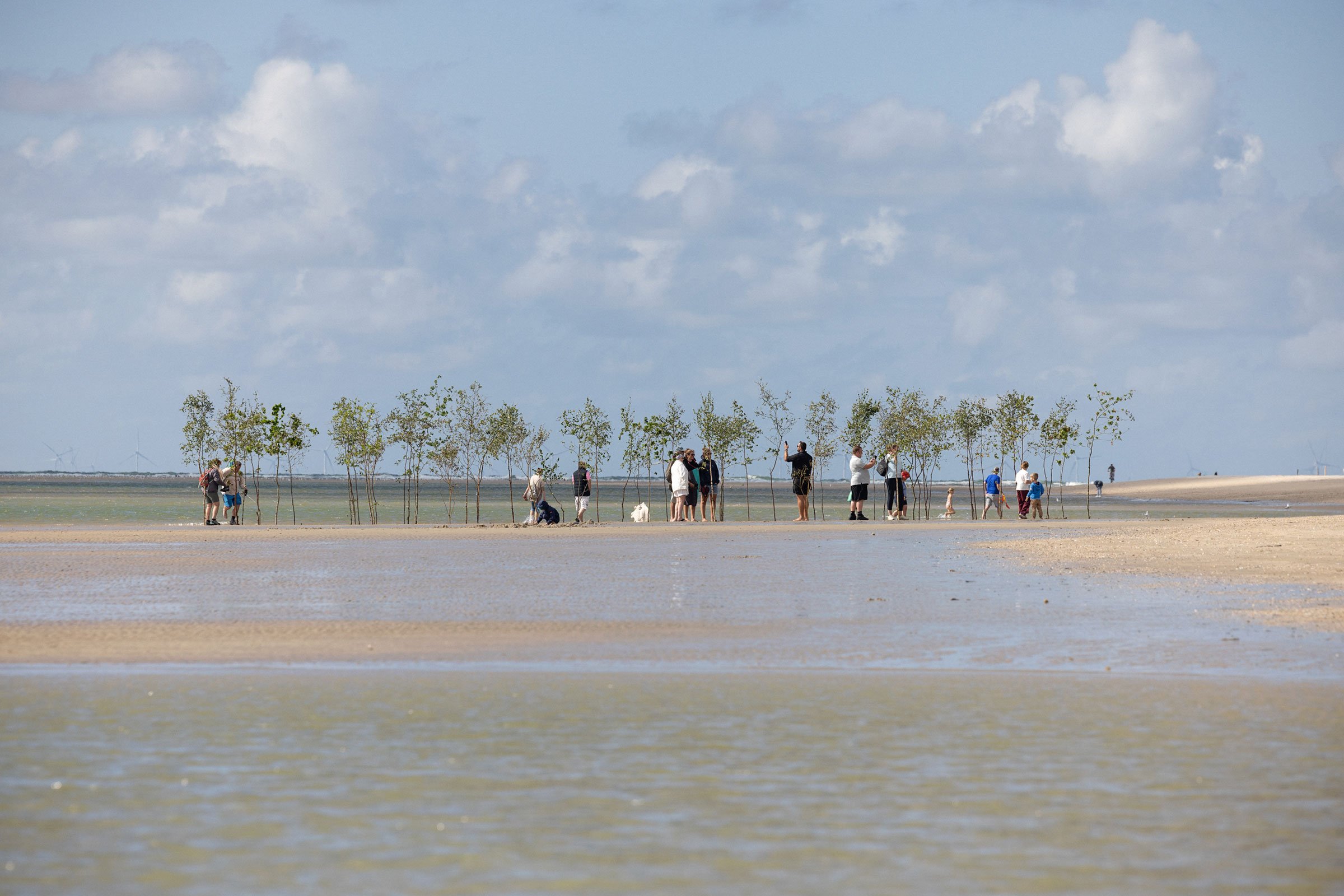 Sophie Sahlqvist, Haven under vand, The Drowned Garden. Bringing In The Tide, Wadden Tide, 2026. Foto: Frida Gregersen.