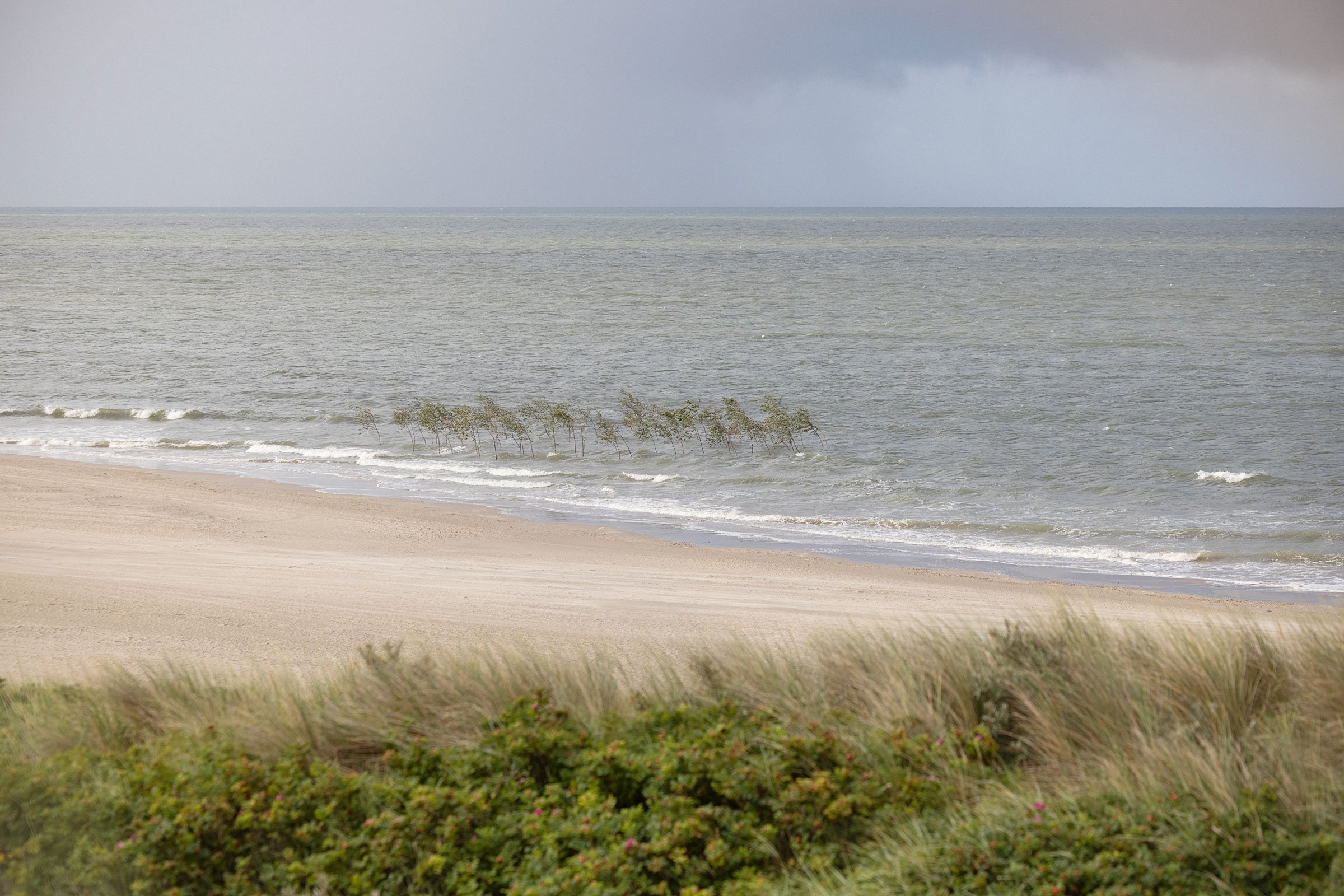 Sophie Sahlqvist, Haven under vand, The Drowned Garden. Bringing In The Tide, Wadden Tide, 2026. Foto: Frida Gregersen.