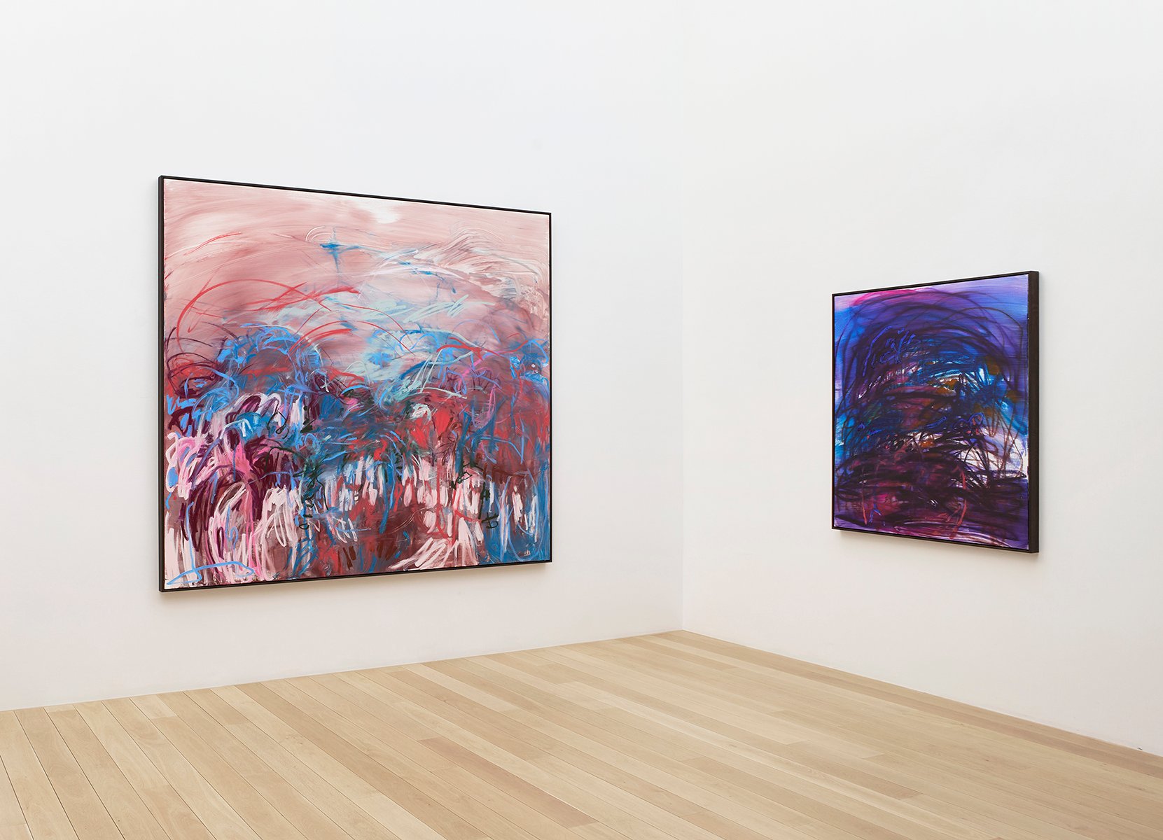 Janaina Tschäpe, À flor da pele, installation view Galleri Bo Bjerggaard. Foto: Galleri Bo Bjerggaard