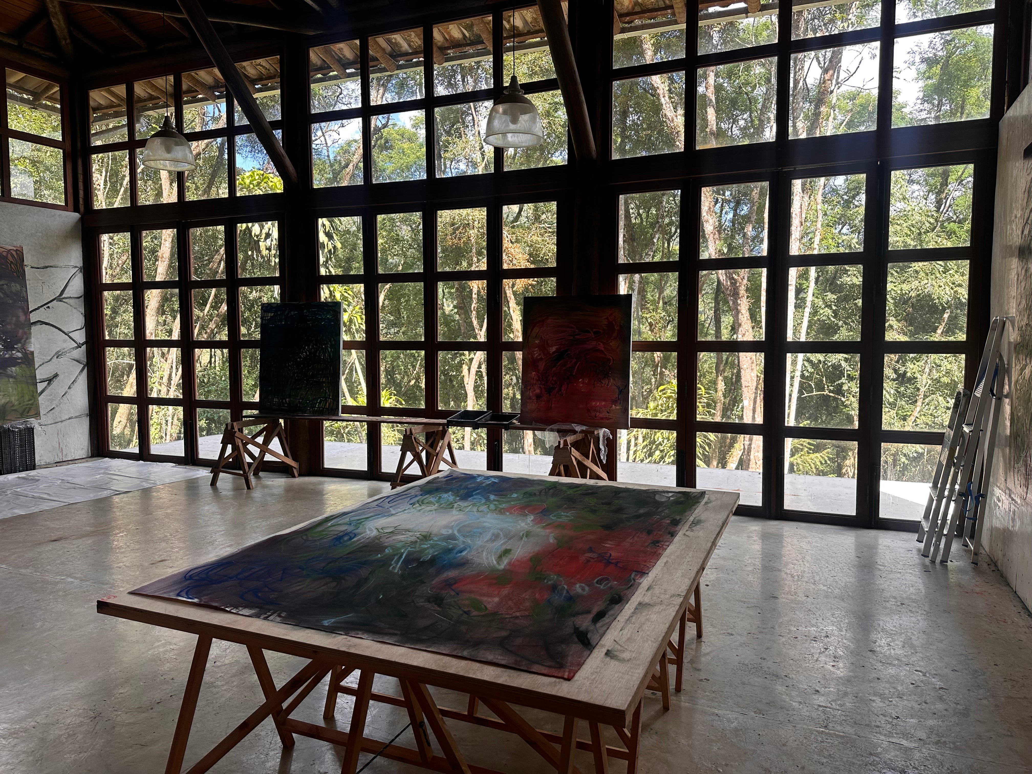 Janaina Tschäpe, atelier i Brasilien. Kreditering: Janaina Tschäpe