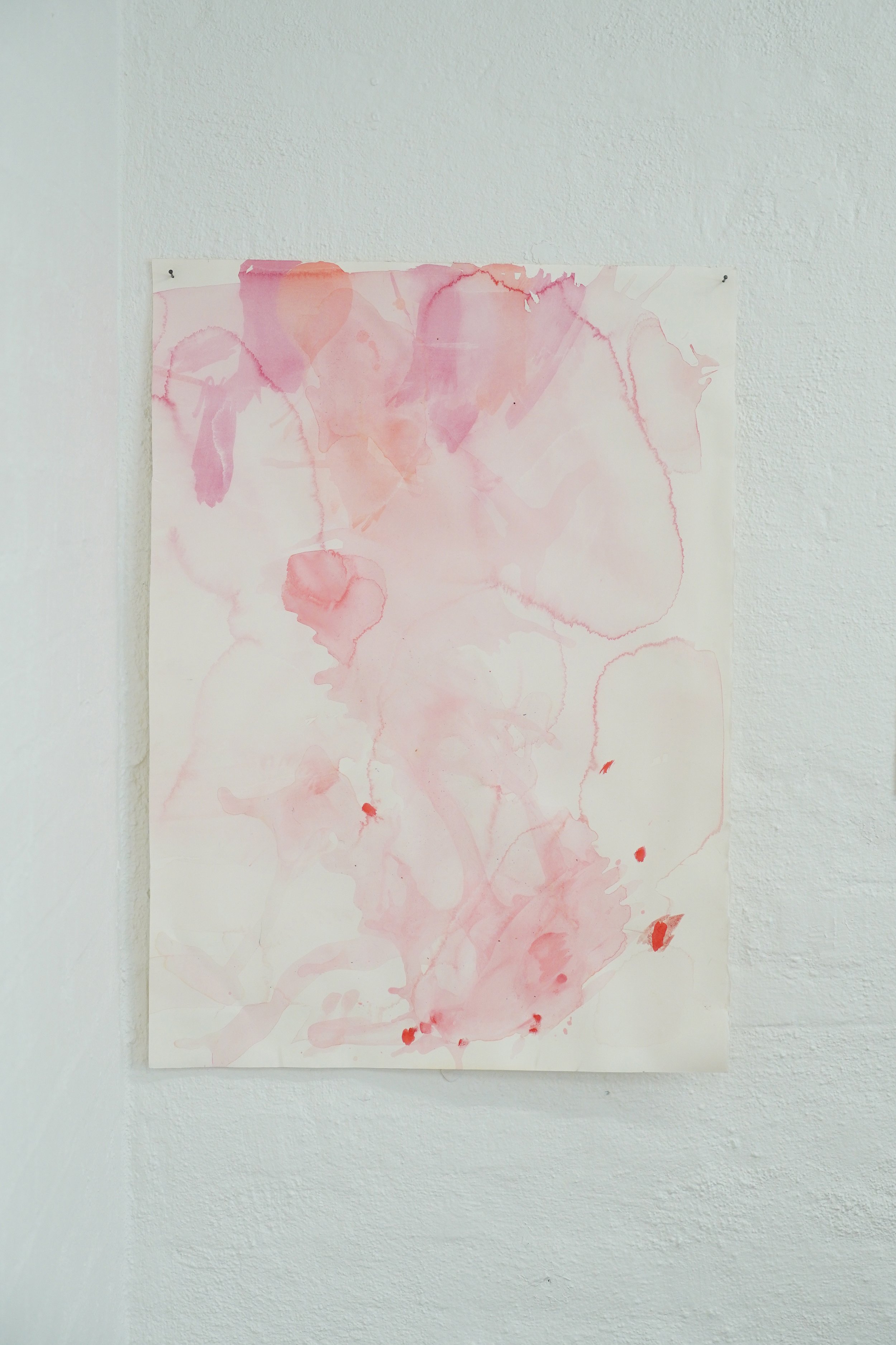 Anna Hyldeborg, <i>Tuberose</i>, 75,5 × 54,5 cm, akvarel og akryl på papir, 2026. Foto: Rikke Ehlers Nilsson.