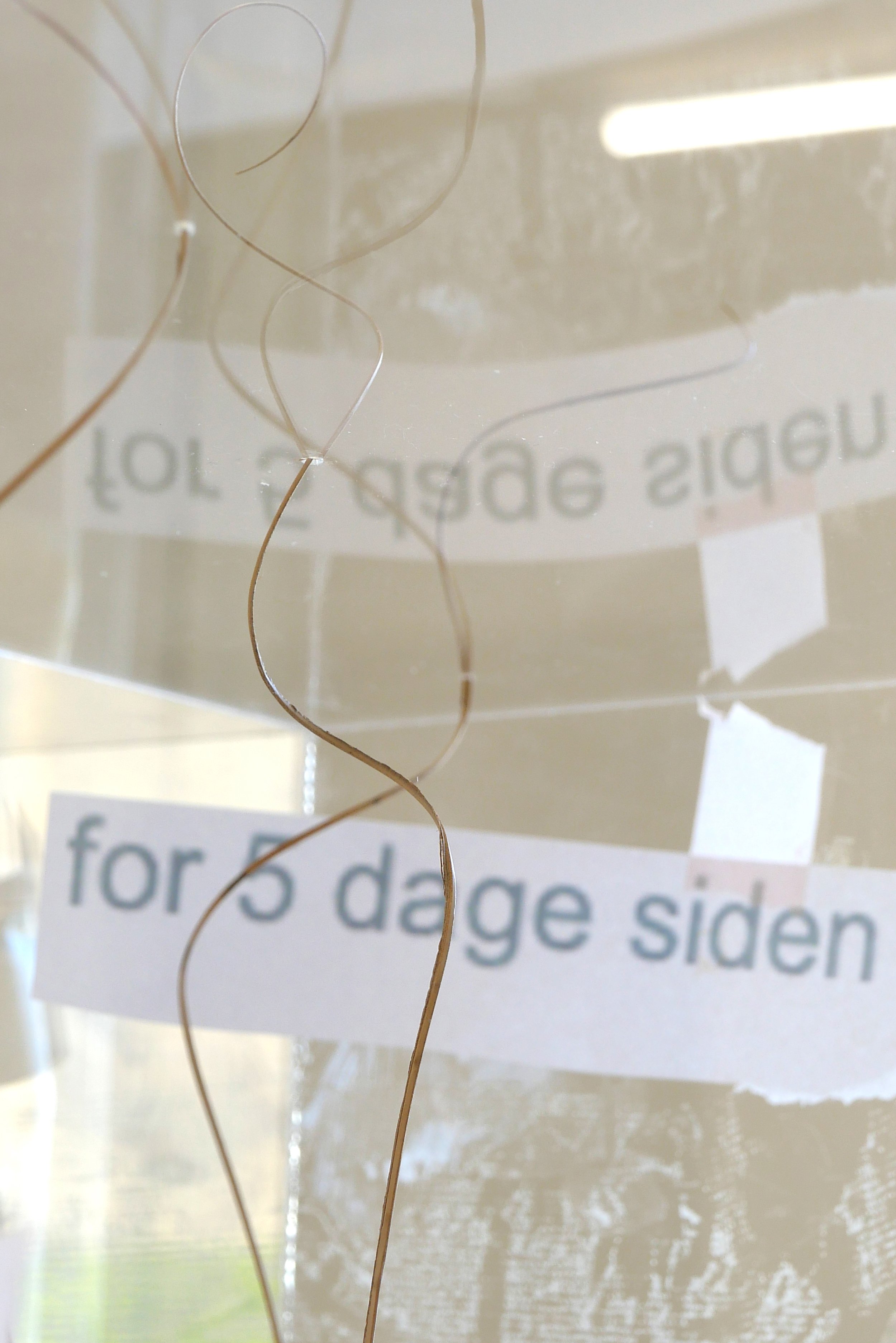 Marie Søndergaard Lolk. fleece pieces, 2026. Blandede materialer, variable mål. Foto: Marie Søndergaard Lolk.
