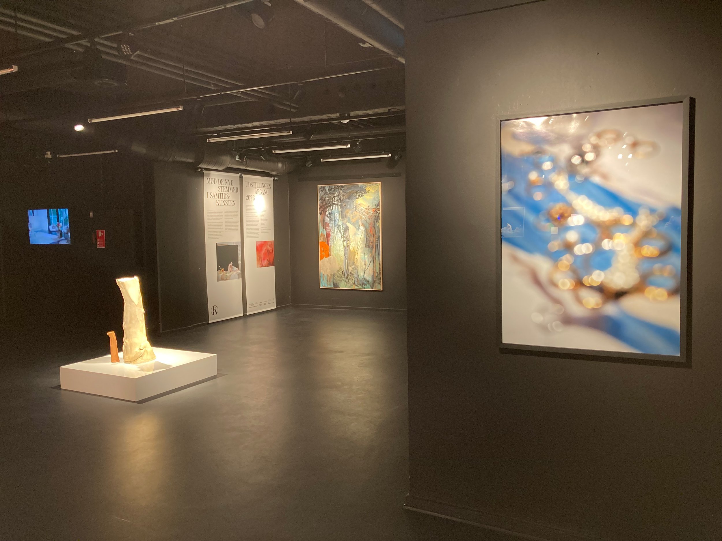 <i>Årgang 2026</i>, installationsview, 2026. Foto: Kunst på Arbejde.