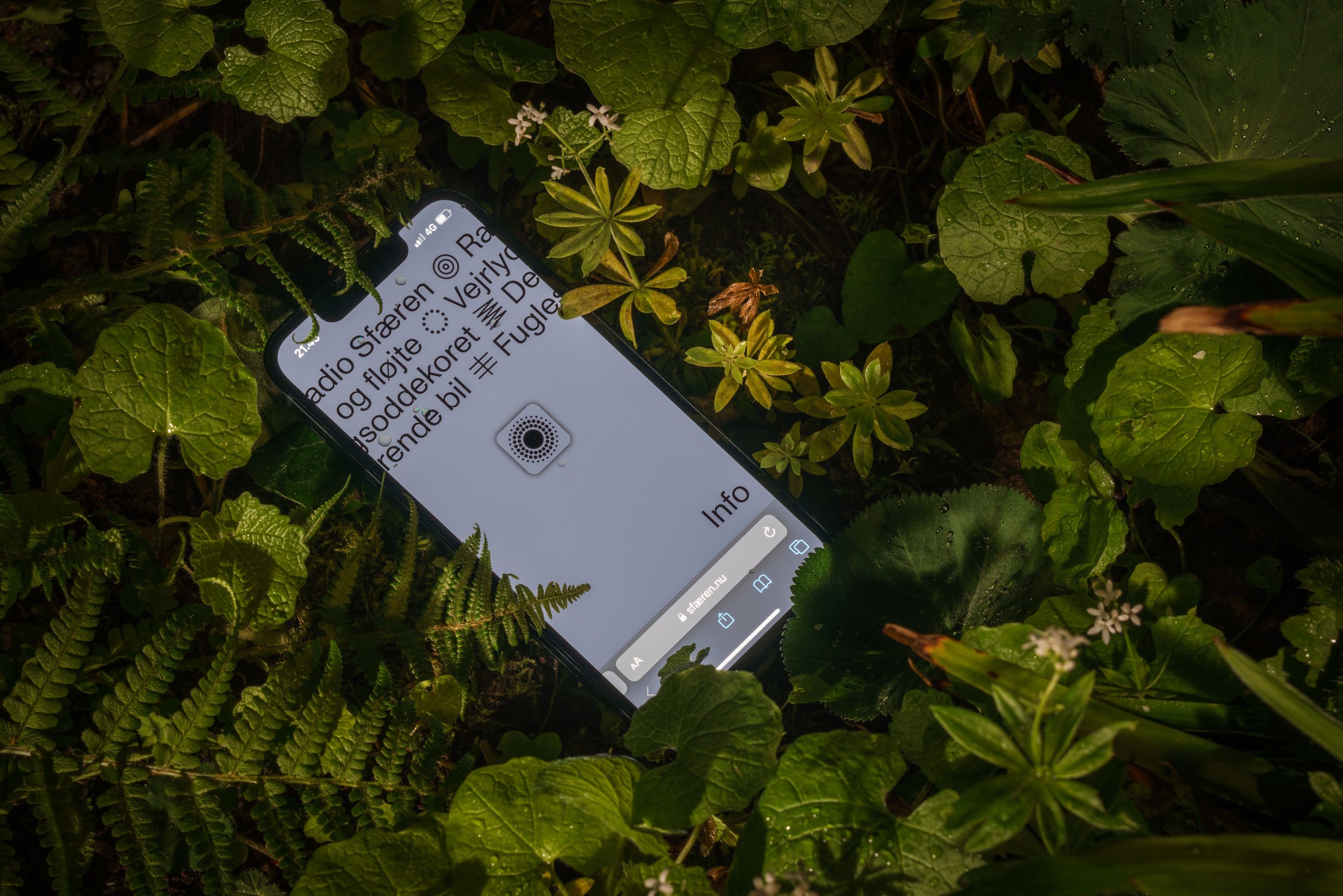 Amalie Smith: <i>Radio Sfæren</i>, 2022. Søndervold Naturpark. Foto: David Stjernholm