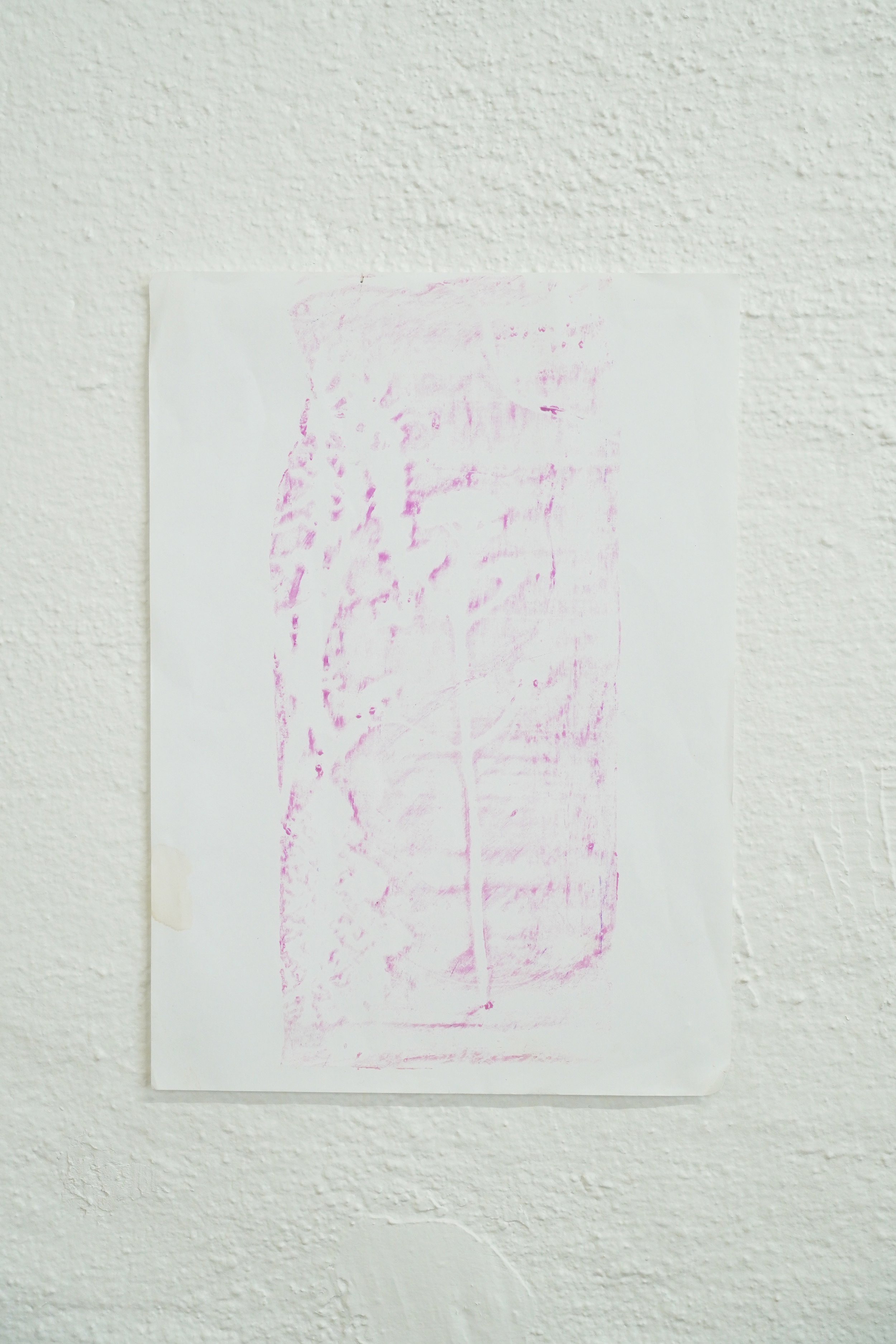 Anna Hyldeborg, <i>Rölleka</i>, 33 × 21 cm, vokskridt og te på papir, 2026. Foto: Rikke Ehlers Nilsson. 