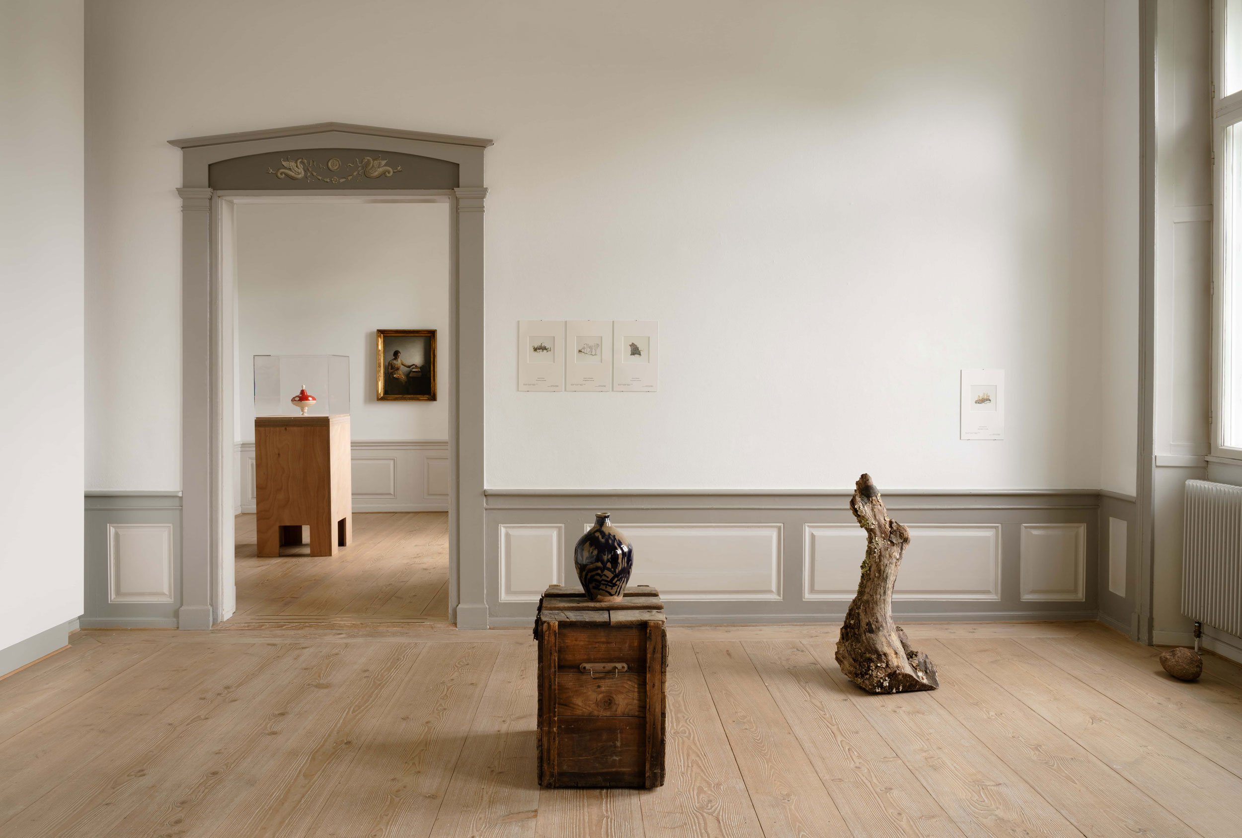 Installationsfoto fra <i>Lyksalige stunder i naturen med de danske svampe</i> på Sophienholm. Foto: David Stjernholm
