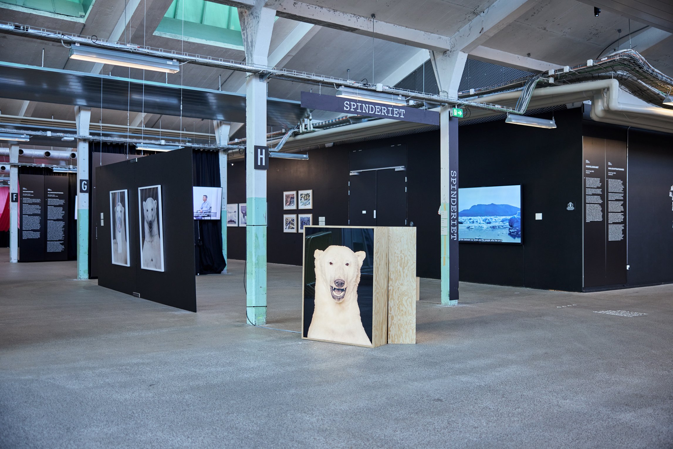 Dét der forbinder os|Ataqatigiinneq, installationsview. Spinderihallerne, 2026. Foto: Kenneth Stjernegaard. Fotografi &amp; Film.