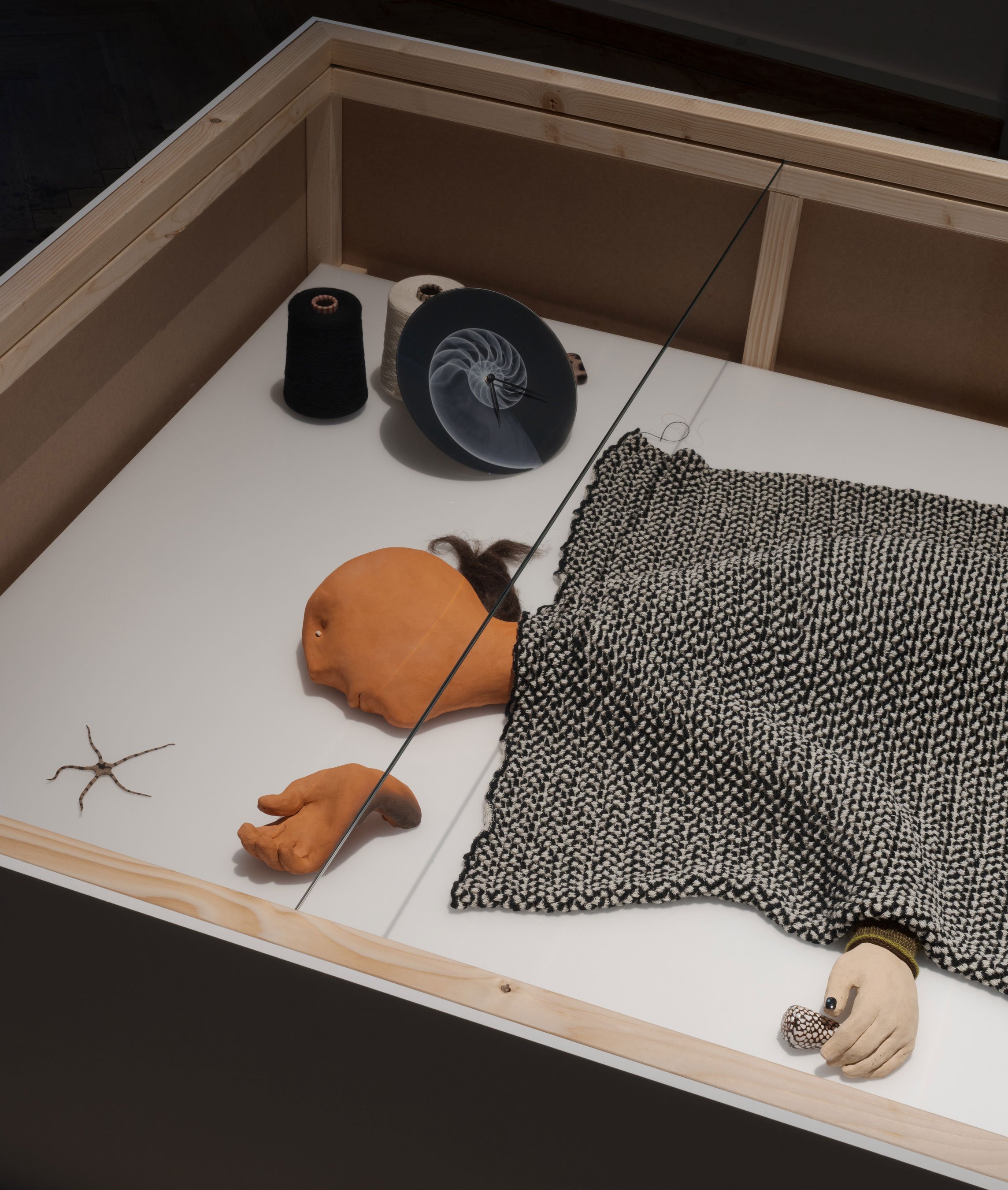 Detalje fra Amalie Smiths udstilling <i>Levende</i> på Kunsthal Charlottenborg. Foto: David Stjernholm 