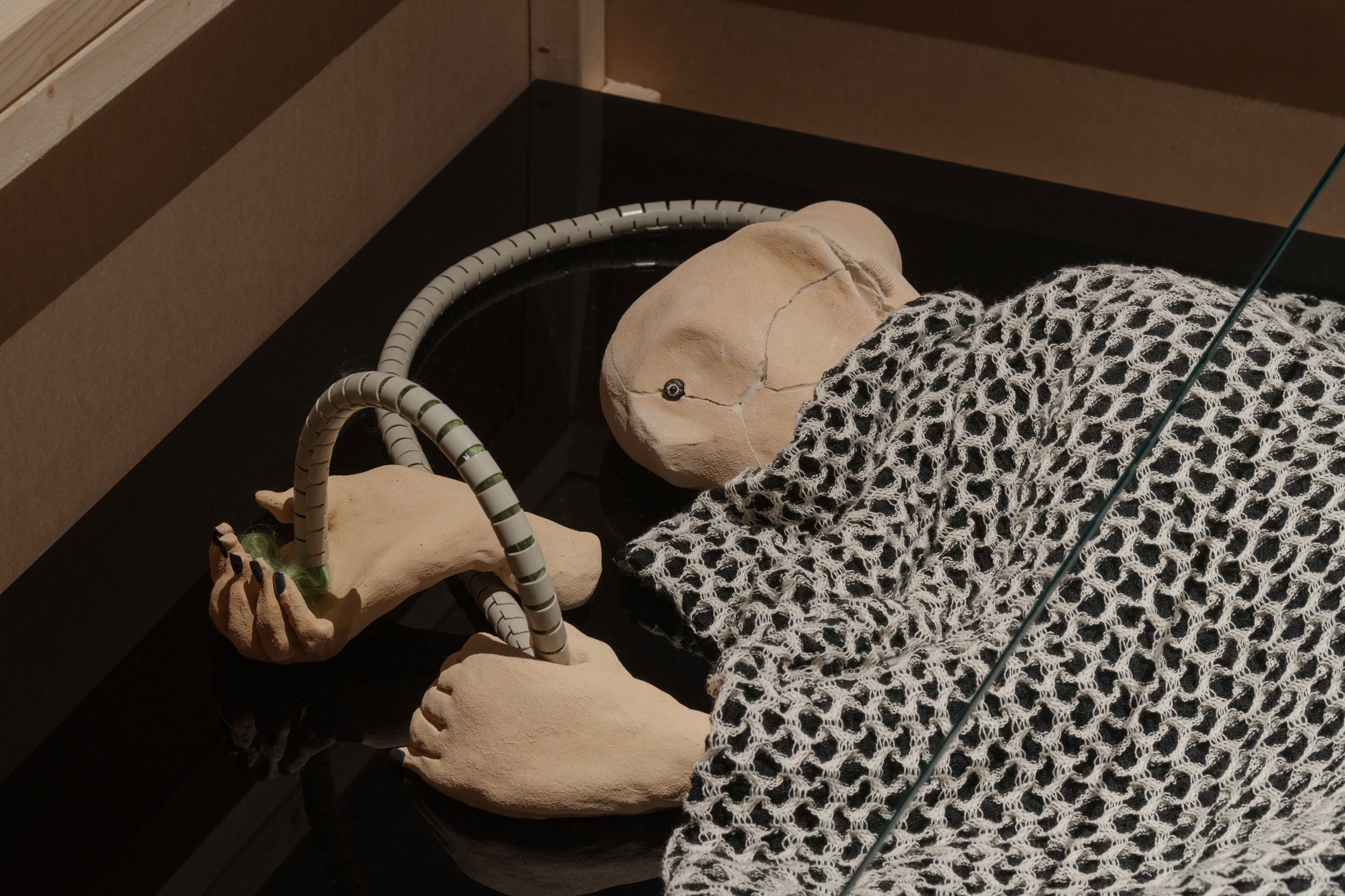 Detalje fra Amalie Smiths udstilling <i>Levende</i> på Kunsthal Charlottenborg. Foto: David Stjernholm 