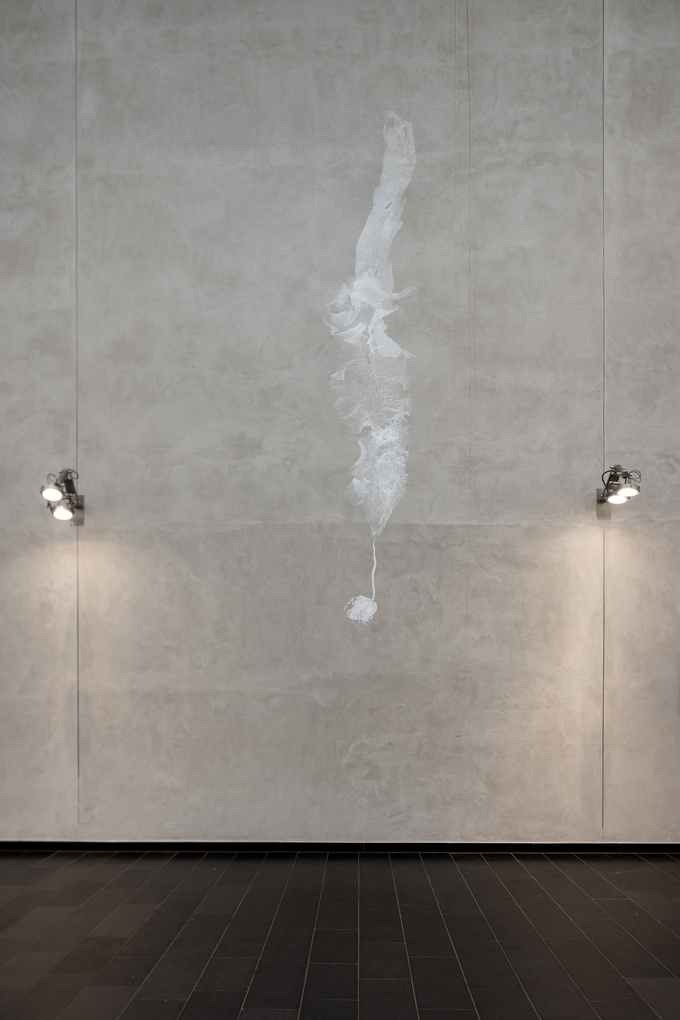 Tang: transformationer, installationsview. Vandrehallen, 2026. Foto: Kirstine Autzen.