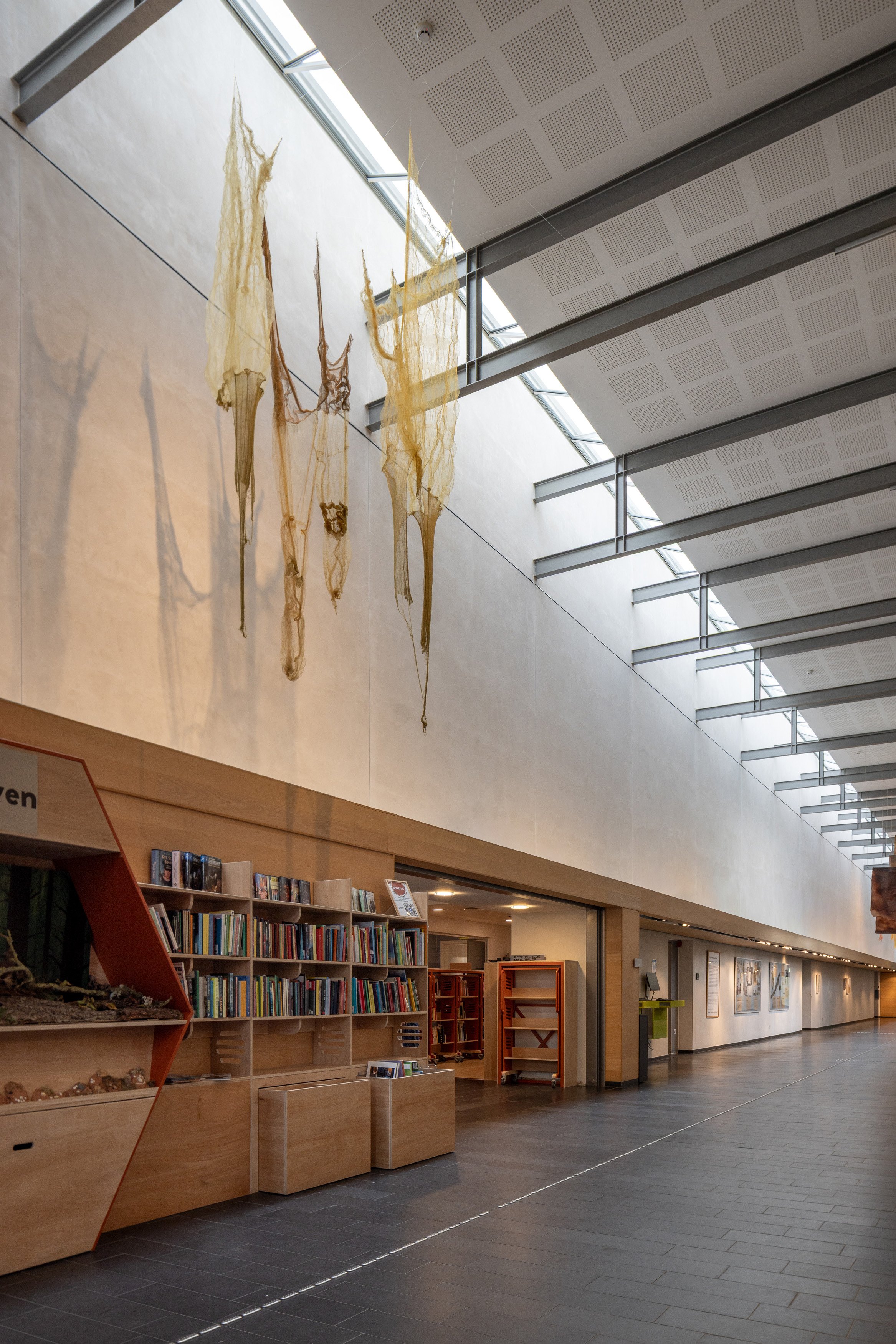Tang: transformationer, installationsview. Vandrehallen, 2026. Foto: Kirstine Autzen.