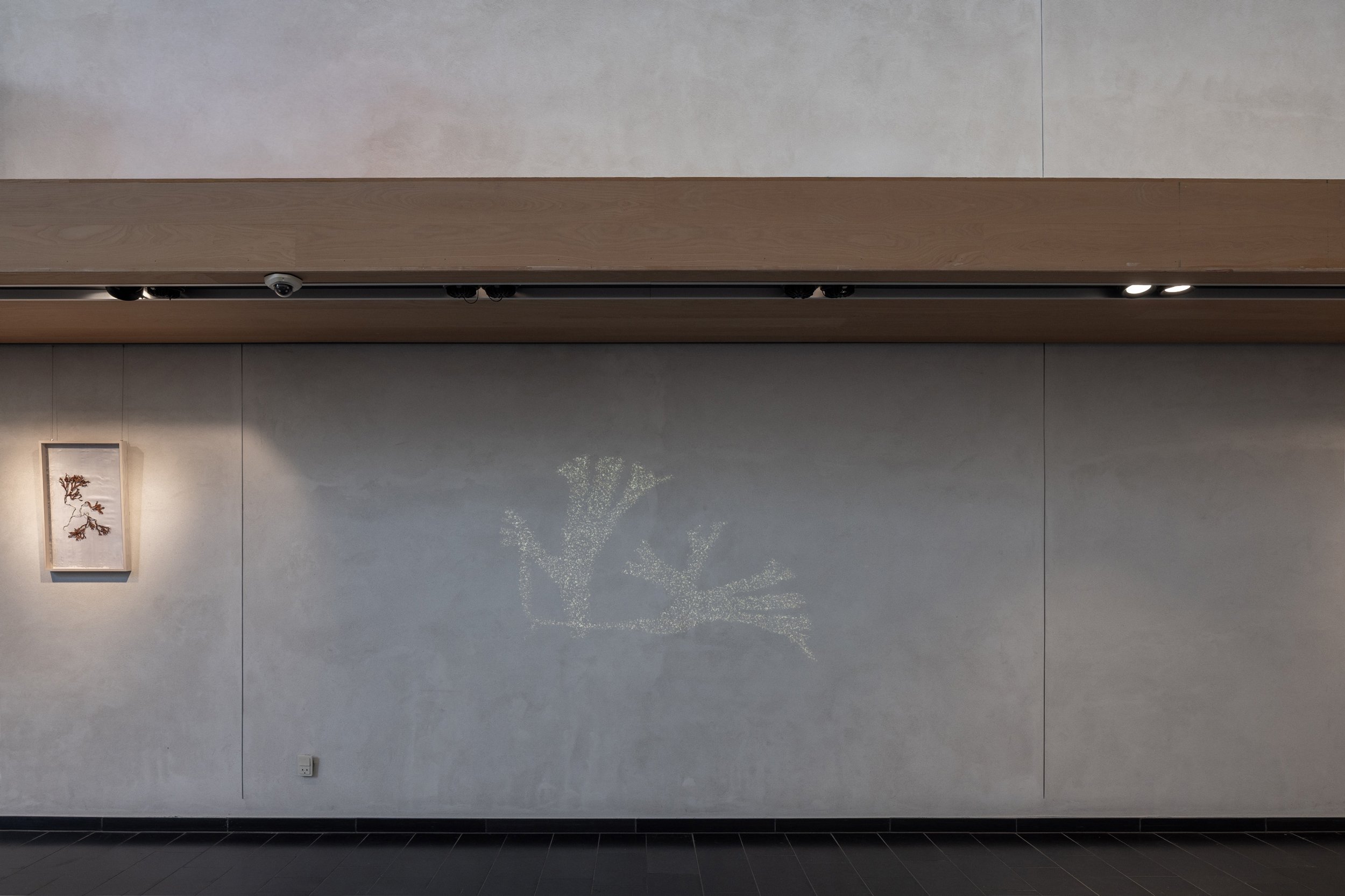 Tang: transformationer, installationsview. Vandrehallen, 2026. Foto: Kirstine Autzen.