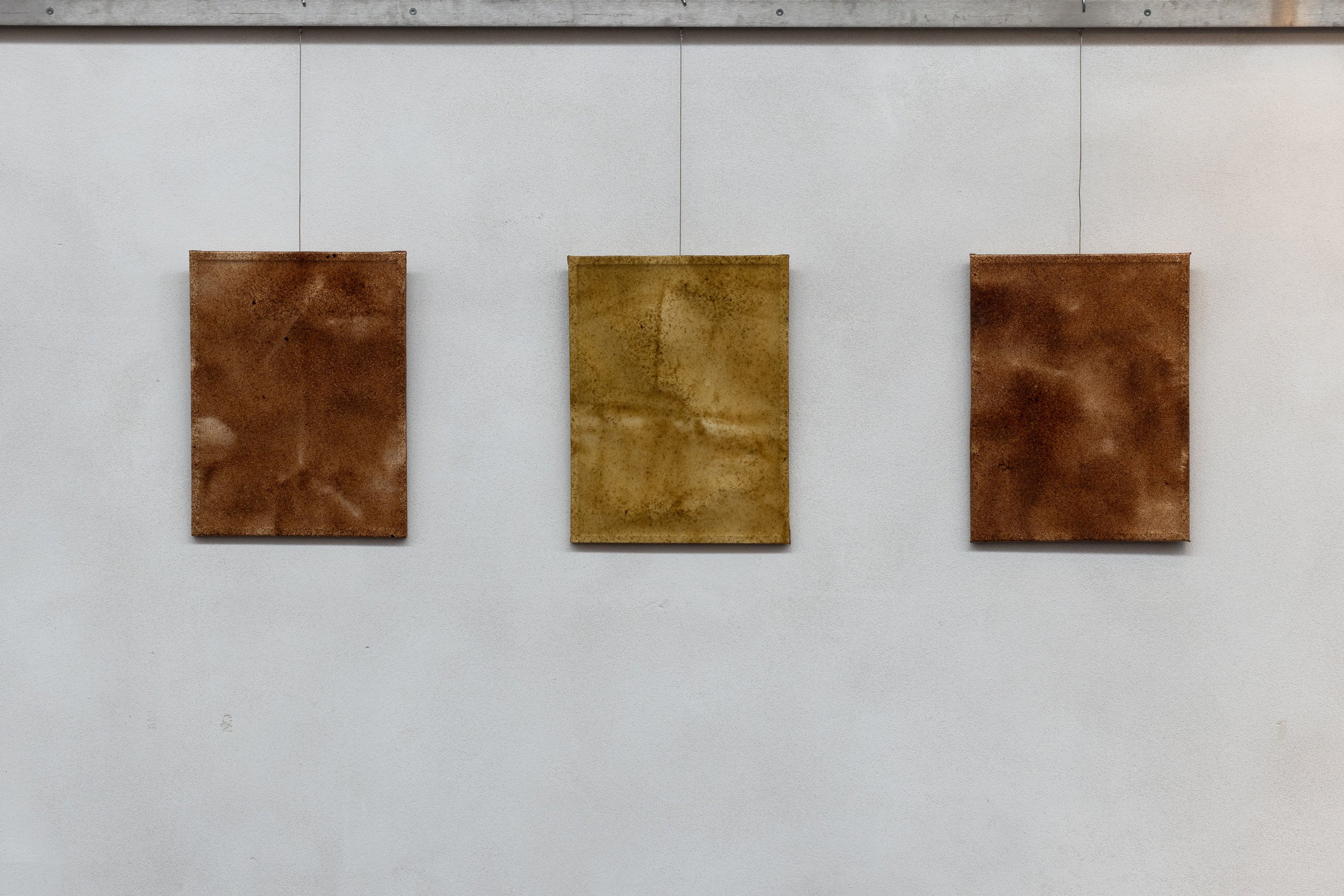 Tang: transformationer, installationsview. Vandrehallen, 2026. Foto: Kirstine Autzen.