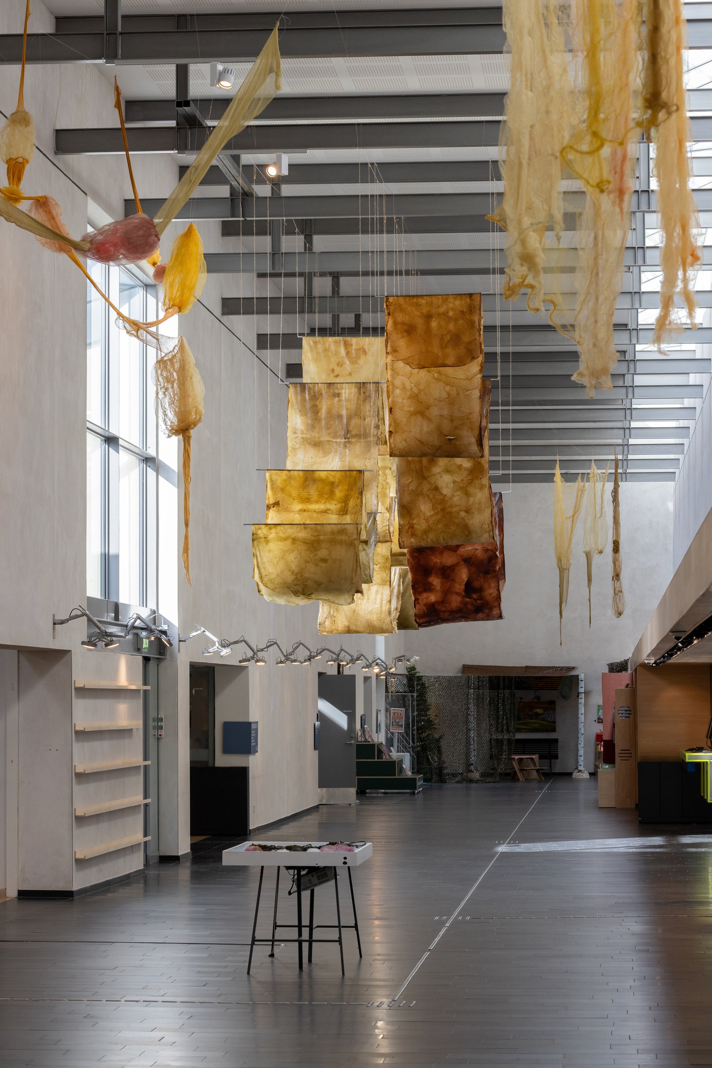 <i>Tang: transformationer</i>, installationsview. Vandrehallen, 2026. Foto: Kirstine Autzen.