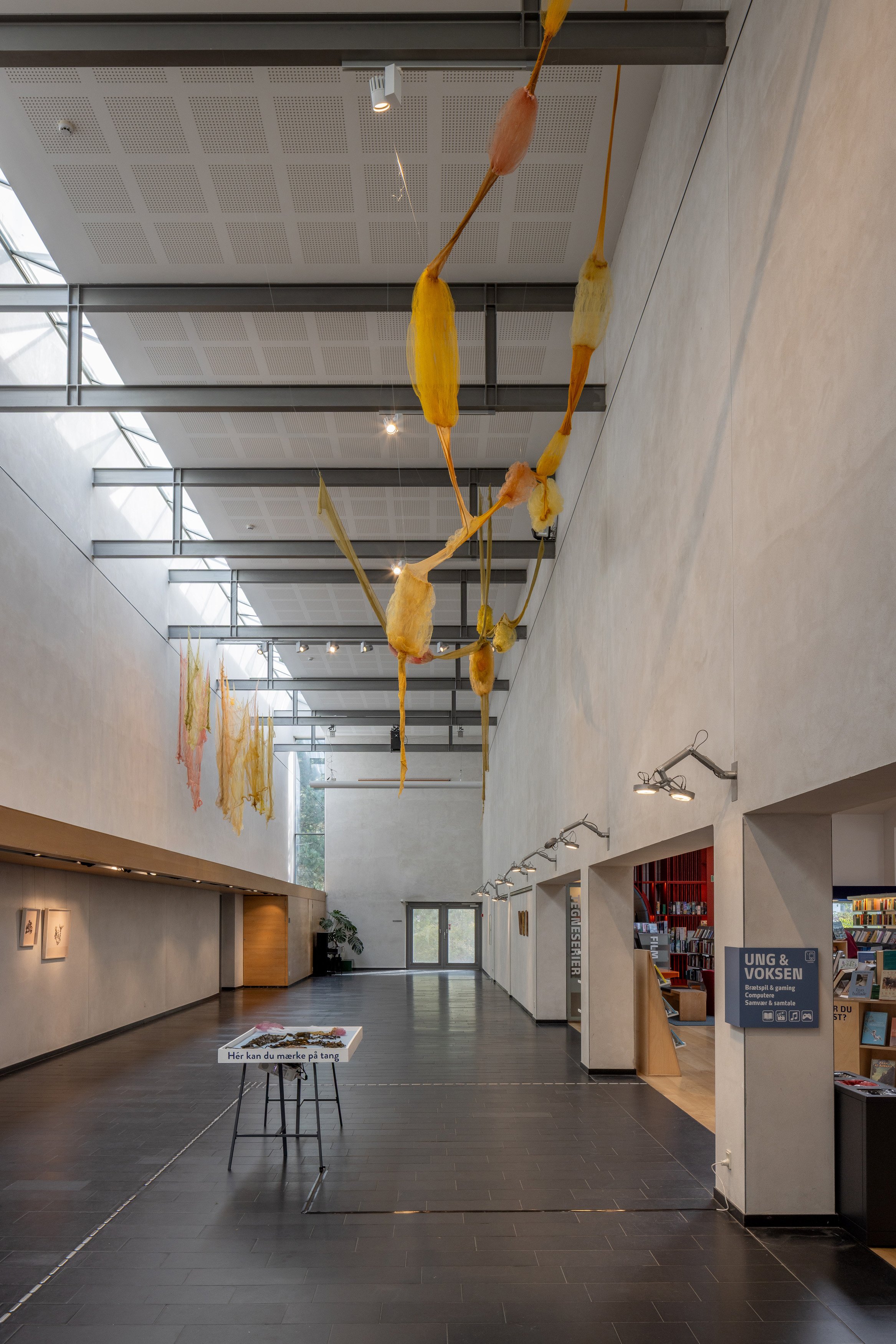 Tang: transformationer, installationsview. Vandrehallen, 2026. Foto: Kirstine Autzen.