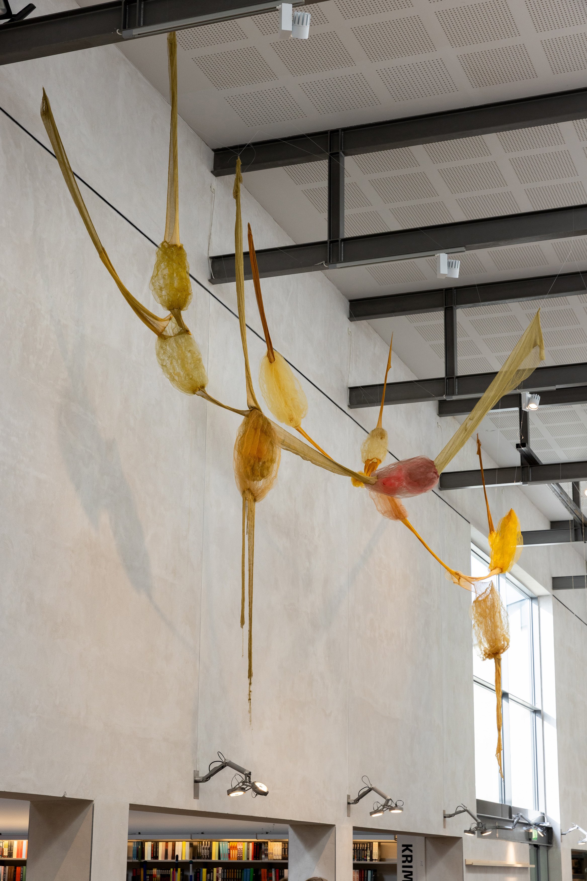 Tang: transformationer, installationsview. Vandrehallen, 2026. Foto: Kirstine Autzen.