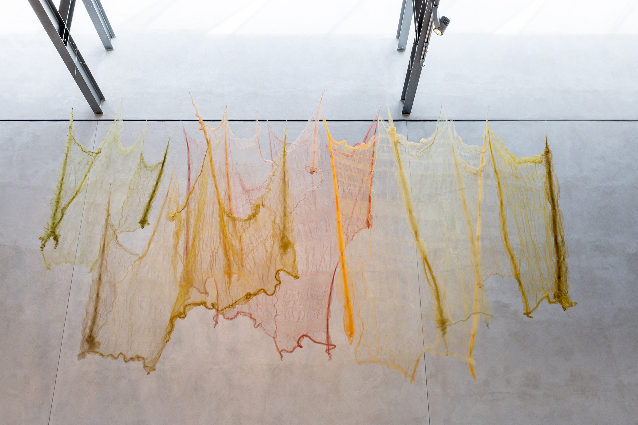 Tang: transformationer, installationsview. Vandrehallen, 2026. Foto: Kirstine Autzen.