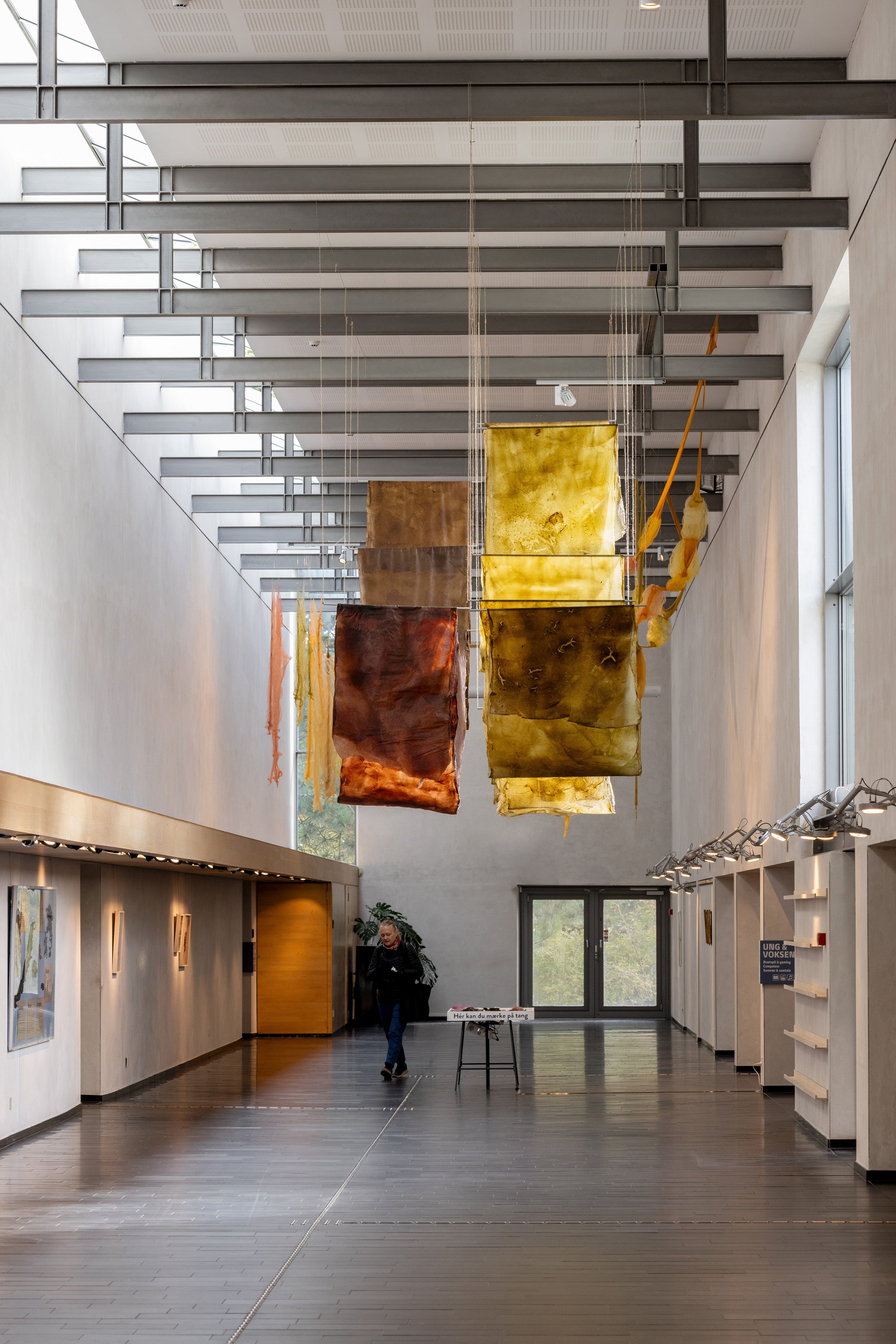 Tang: transformationer, installationsview. Vandrehallen, 2026. Foto: Kirstine Autzen.