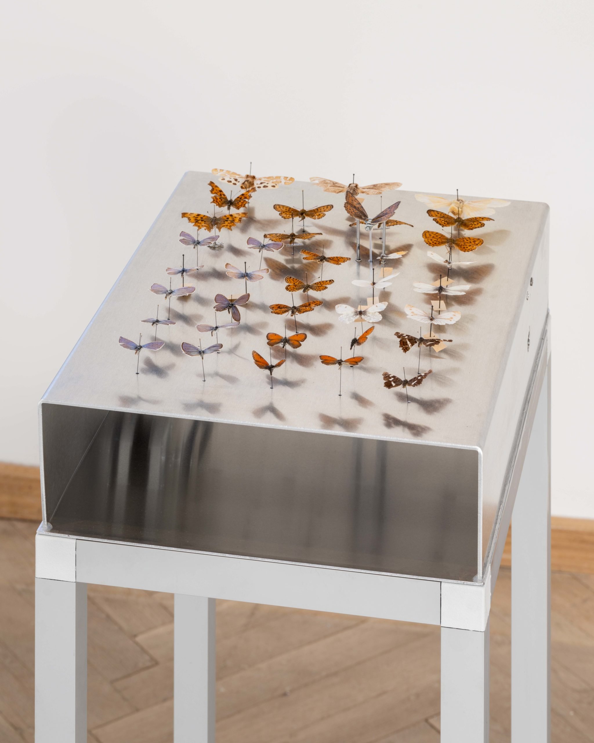 Tilda Lundbohm: <i>Alive</i>. Afgang2025. Foto: David Stjernholm