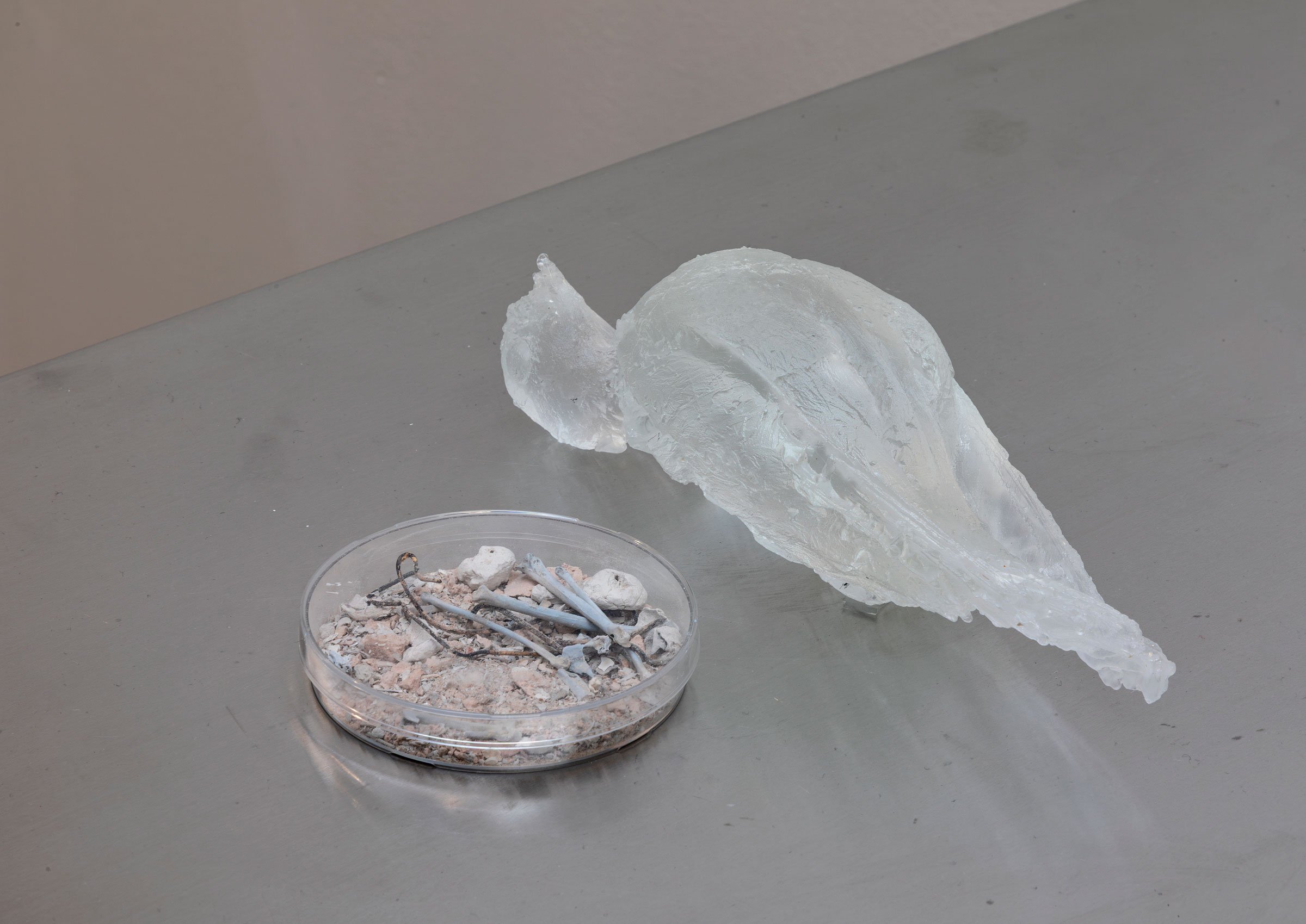 Tilda Lundbohm: <i>Songbirds</i>, 2025. Kirsten Kjærs Museum, 2026. Foto: Niels Fabæk
