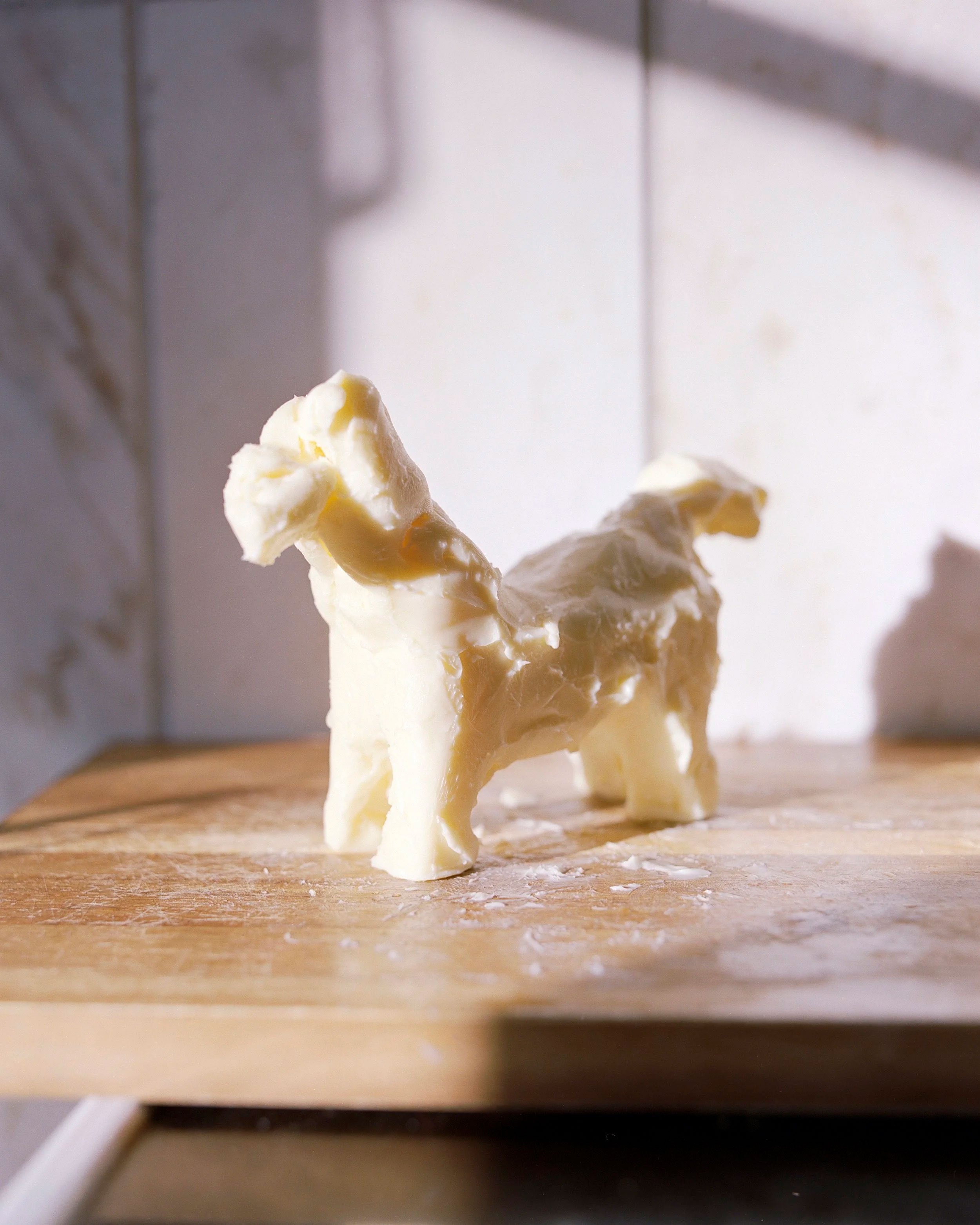 Tine Bek: <i>Butter Horse</i>. Kreditering: Tine Bek
